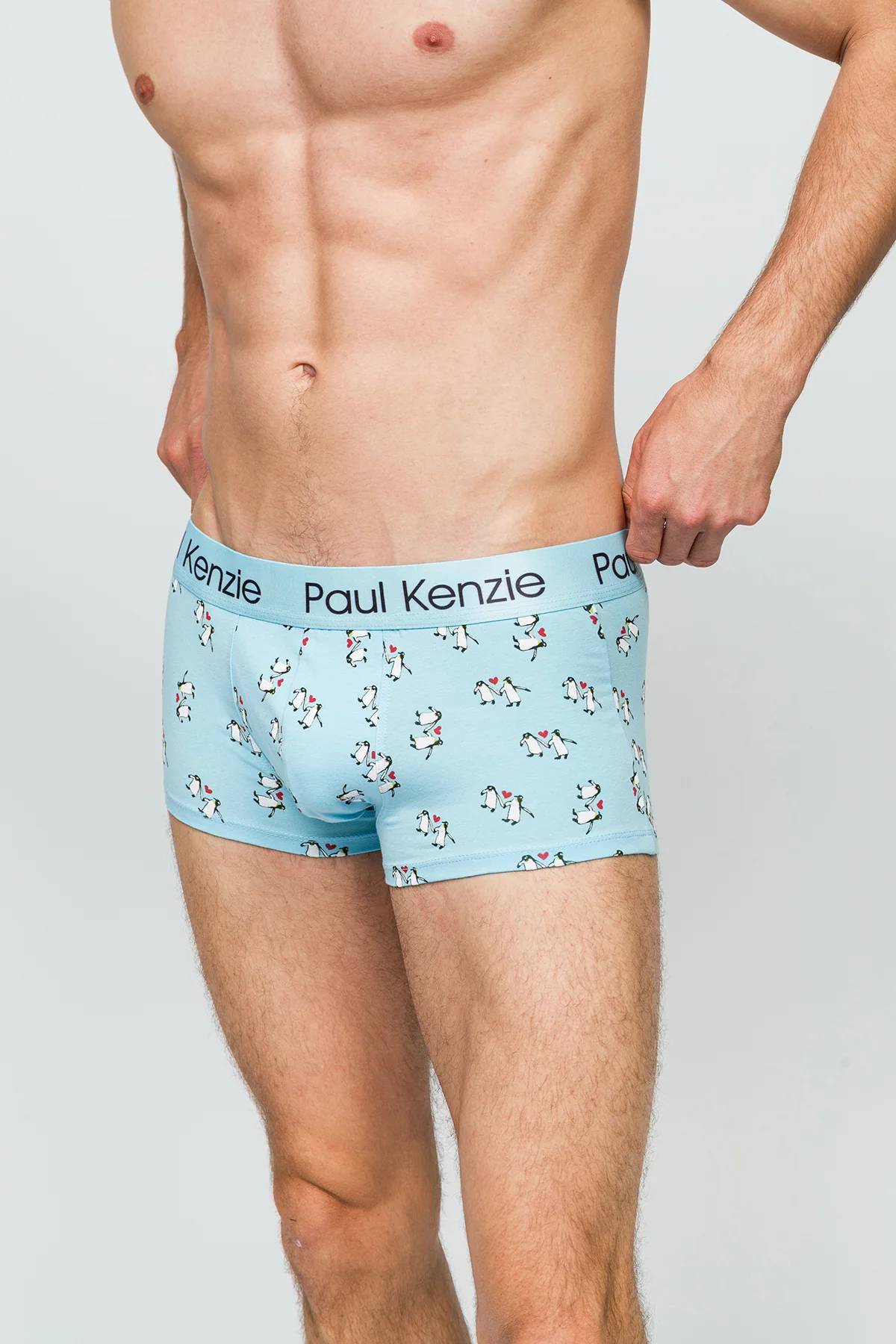 Erkek Trunk Boxer - Penguin Love - Image 6