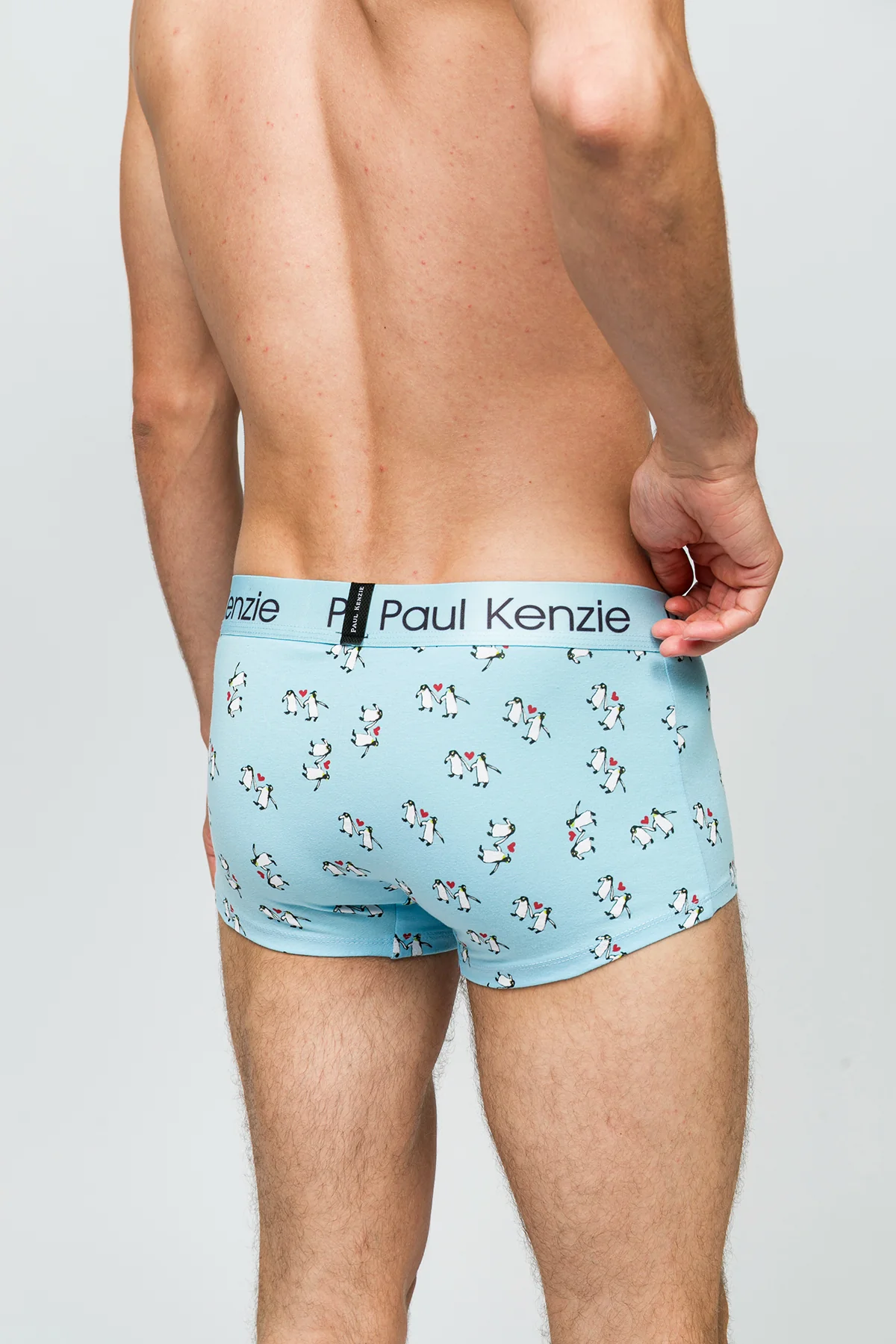 Erkek Trunk Boxer - Penguin Love - Image 7