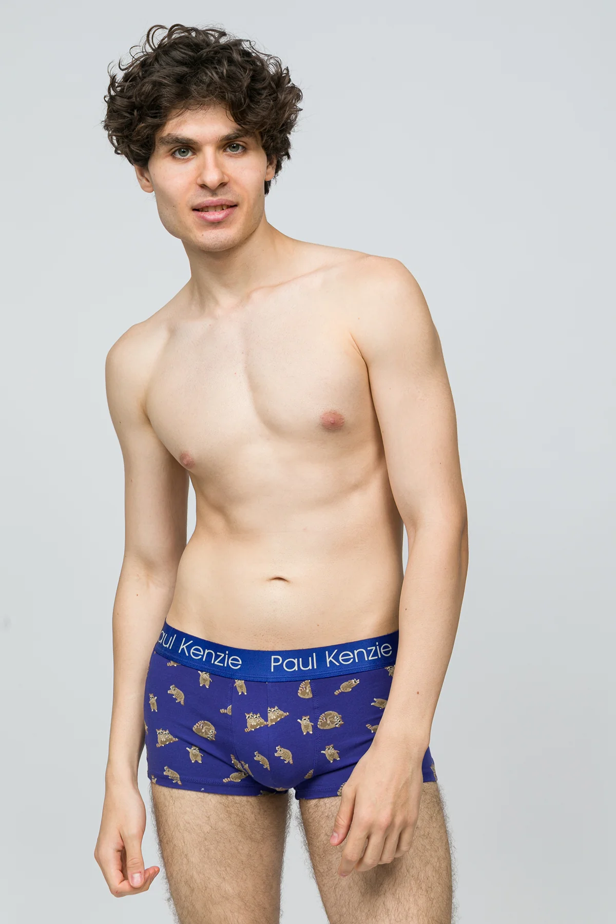 Erkek Trunk Boxer - Rakun - Image 4