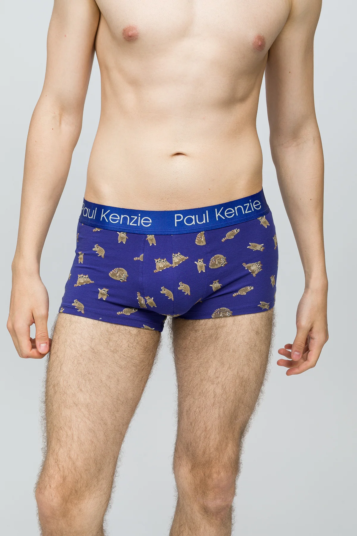 Erkek Trunk Boxer - Rakun - Image 5