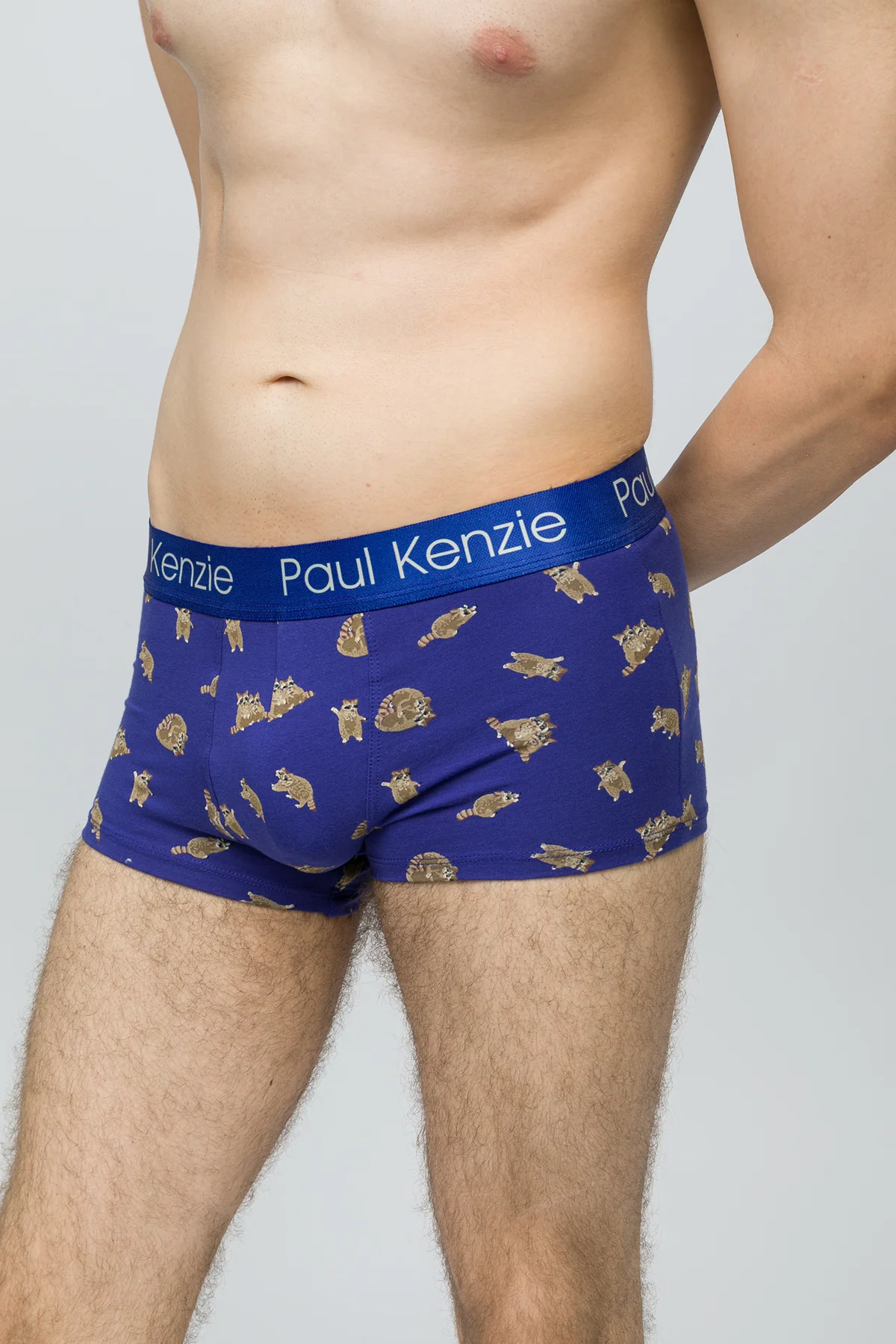 Erkek Trunk Boxer - Rakun - Image 6