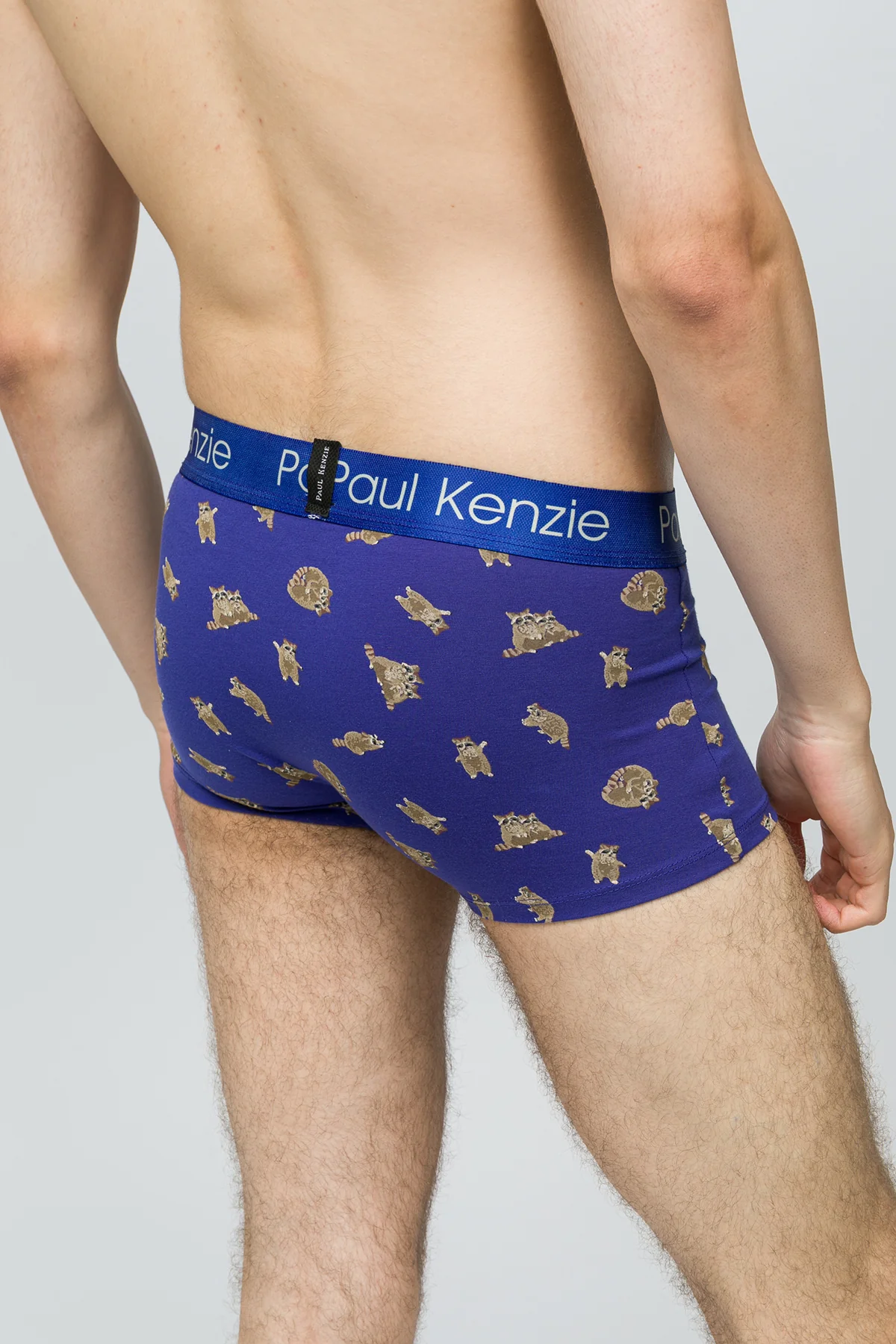 Erkek Trunk Boxer - Rakun - Image 7