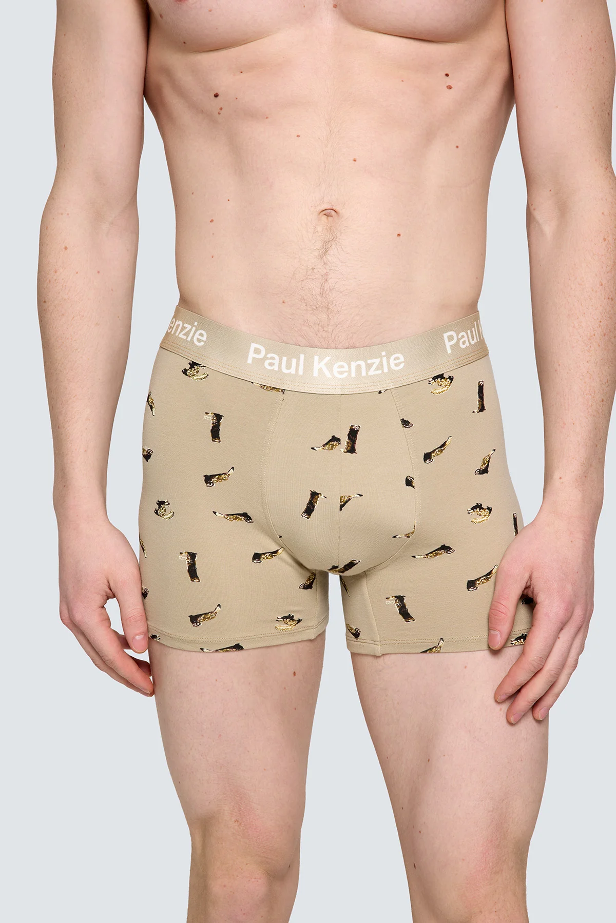Paul Kenzie x Doğa Derneği - Desenli Erkek Boxer - Alaca Sansar - Image 4