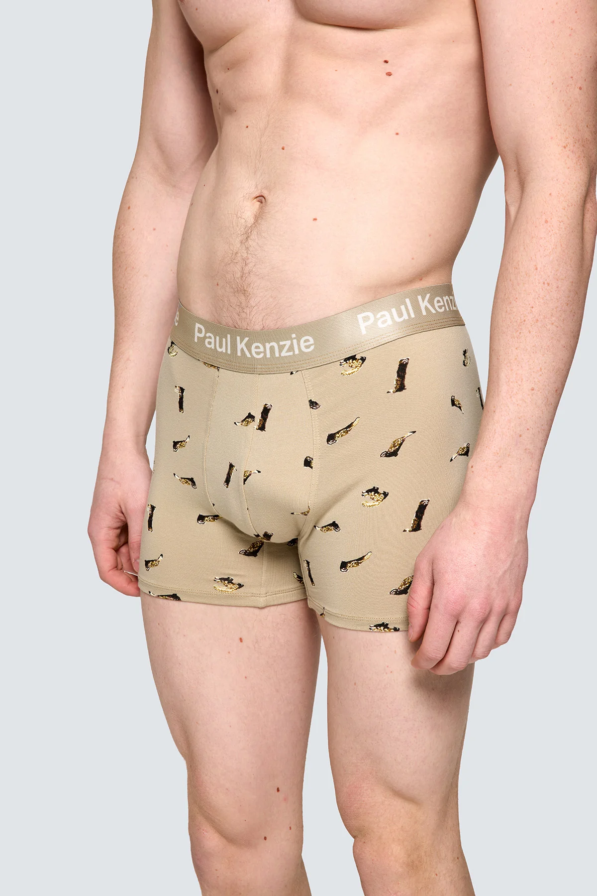 Paul Kenzie x Doğa Derneği - Desenli Erkek Boxer - Alaca Sansar - Image 5