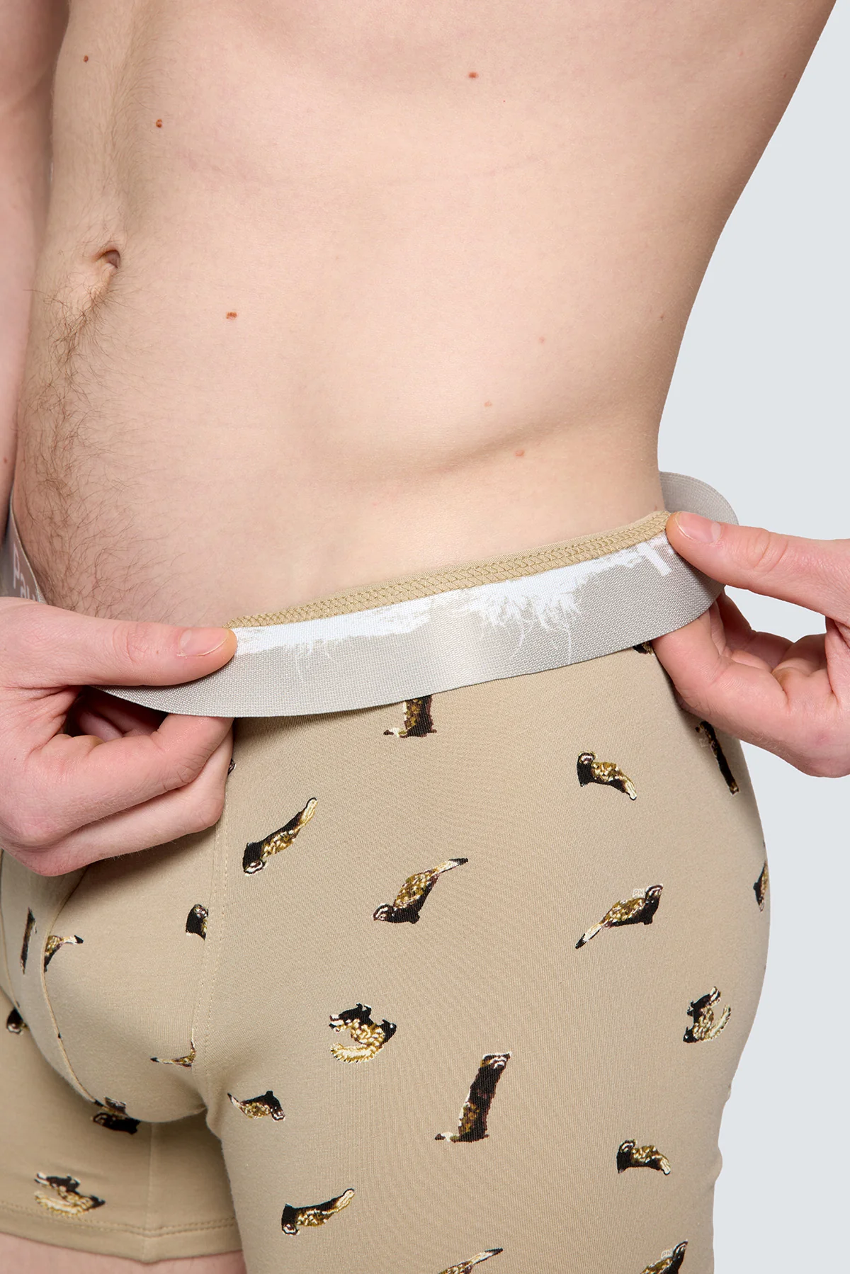 Paul Kenzie x Doğa Derneği - Desenli Erkek Boxer - Alaca Sansar - Image 6