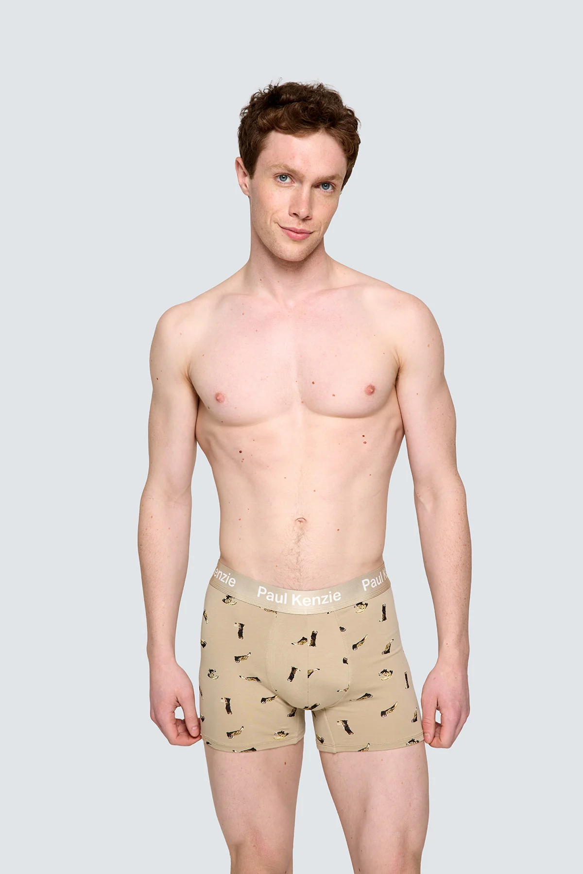 Paul Kenzie x Doğa Derneği - Desenli Erkek Boxer - Alaca Sansar - Image 7