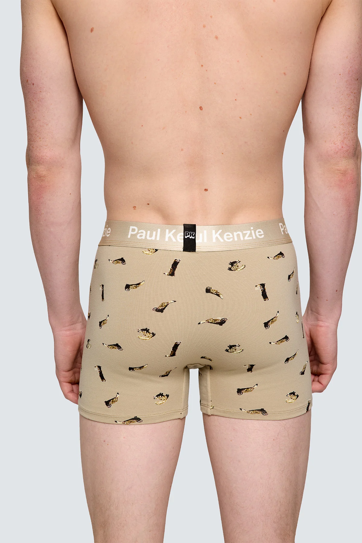 Paul Kenzie x Doğa Derneği - Desenli Erkek Boxer - Alaca Sansar - Image 8