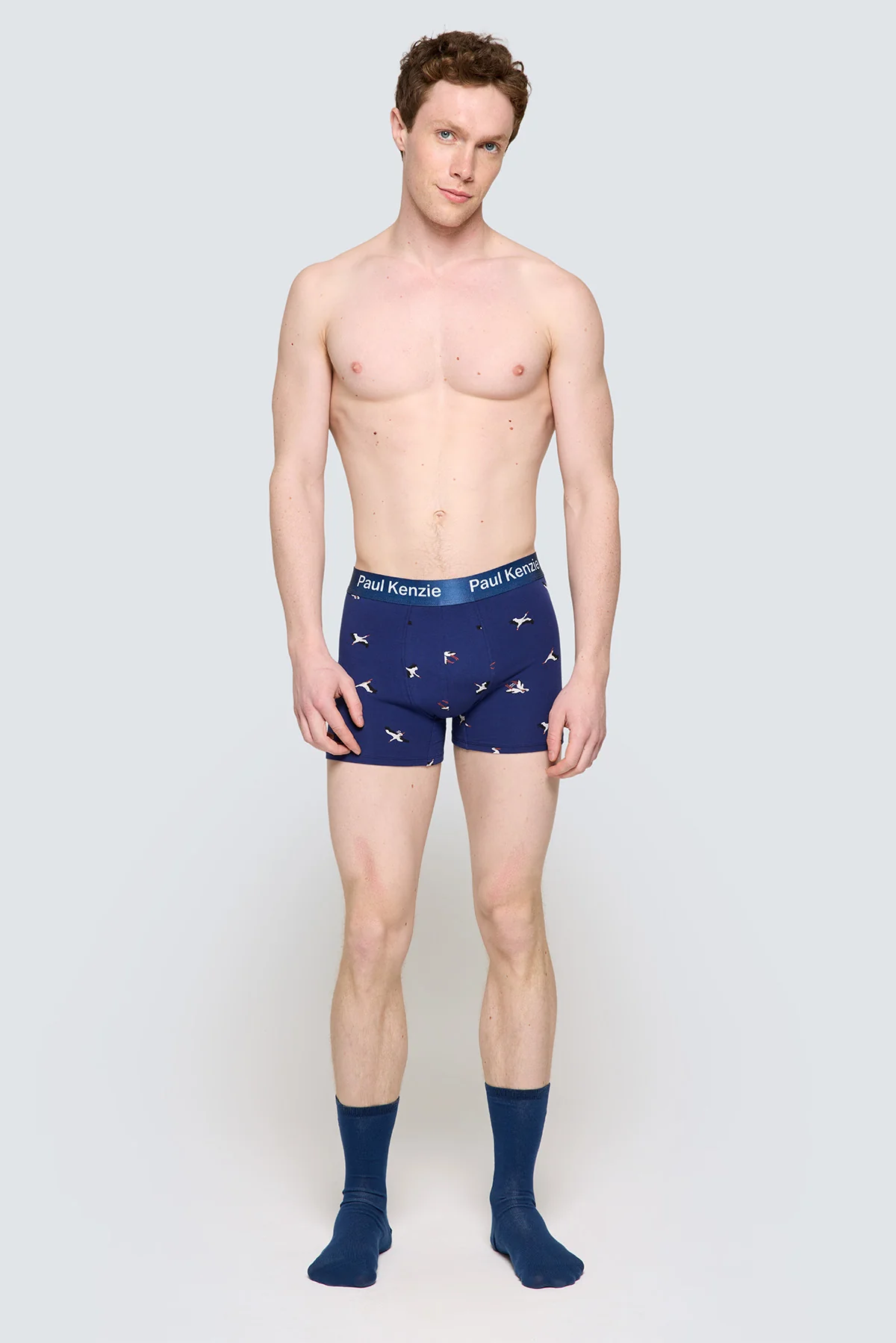 Paul Kenzie x Doğa Derneği - Desenli Erkek Boxer - Leylek - Image 3