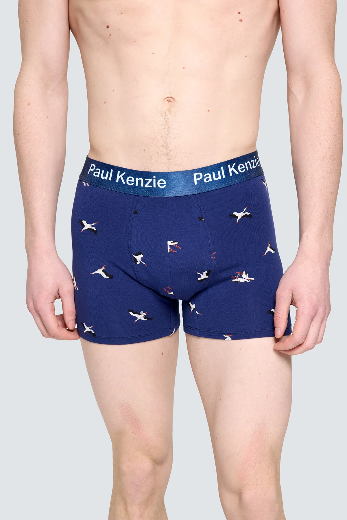 Paul Kenzie x Doğa Derneği - Desenli Erkek Boxer - Leylek - Image 5