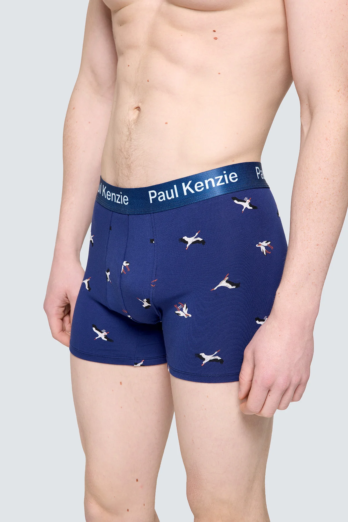 Paul Kenzie x Doğa Derneği - Desenli Erkek Boxer - Leylek - Image 7