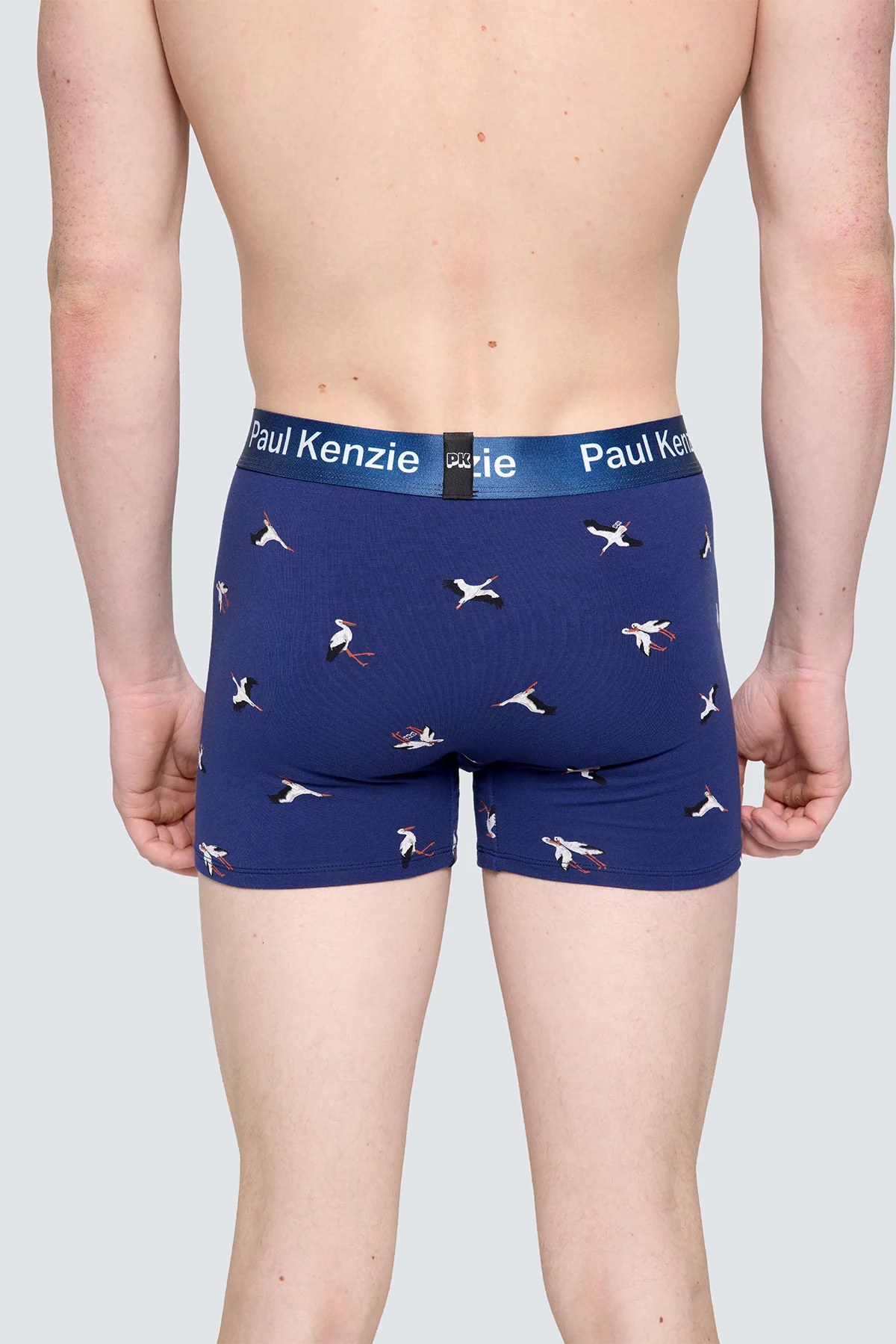 Paul Kenzie x Doğa Derneği - Desenli Erkek Boxer - Leylek - Image 8