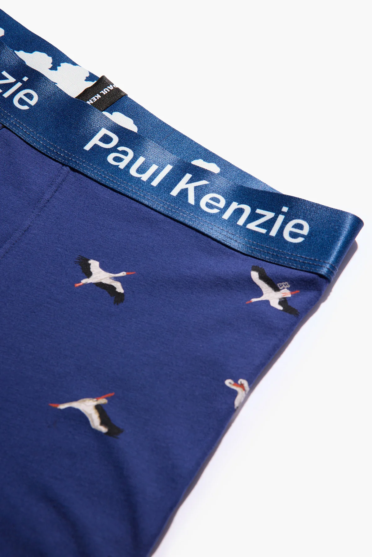 Paul Kenzie x Doğa Derneği - Desenli Erkek Boxer - Leylek - Image 9