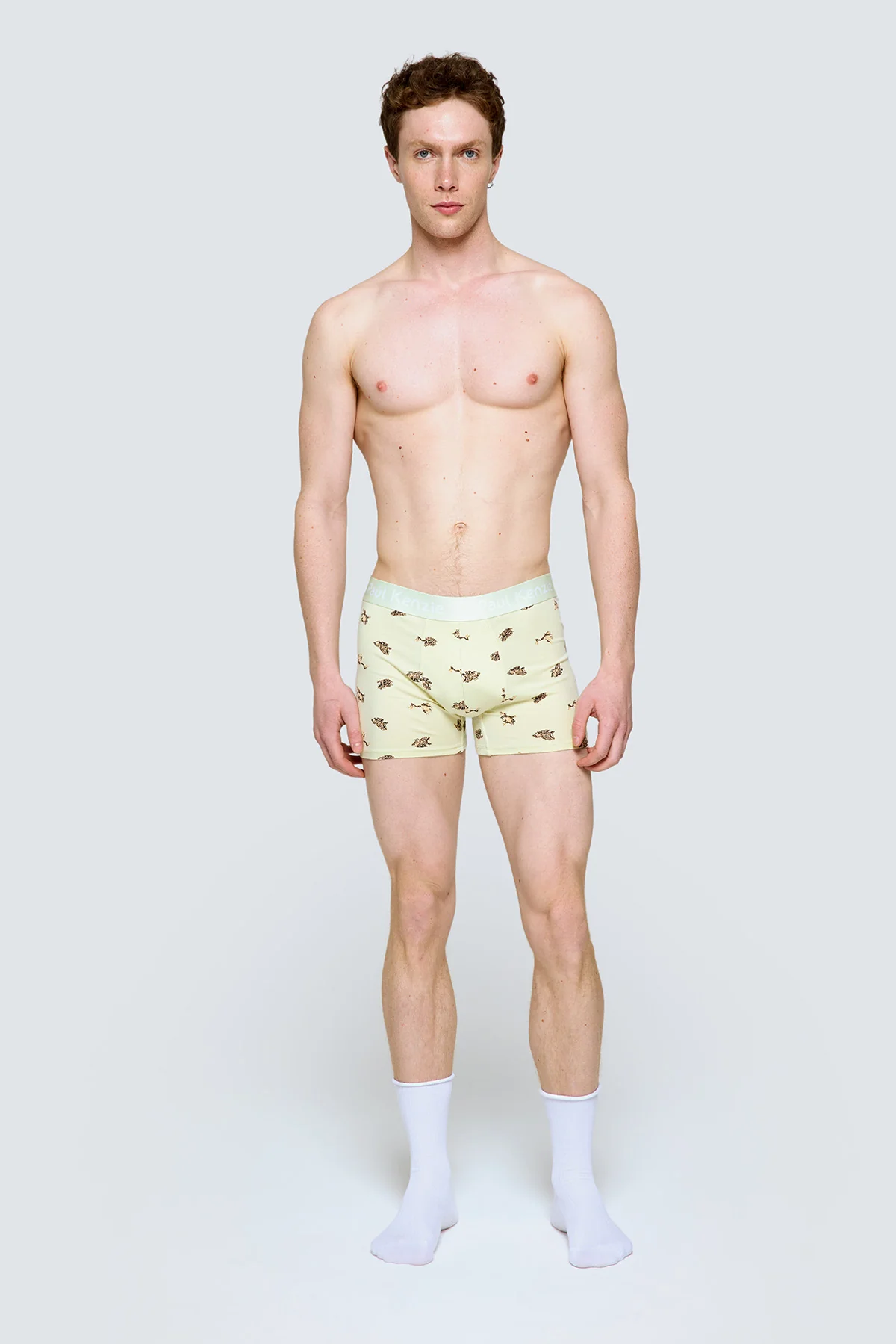 Paul Kenzie x Doğa Derneği - Desenli Erkek Boxer - Toros Kurbağası - Image 3