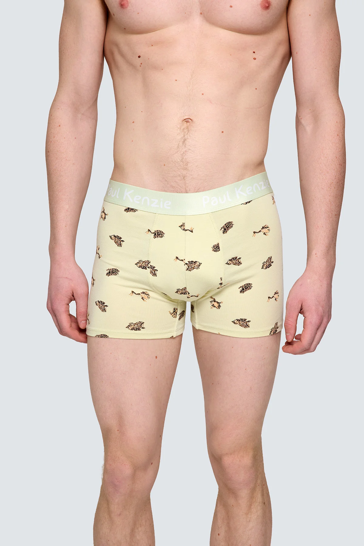 Paul Kenzie x Doğa Derneği - Desenli Erkek Boxer - Toros Kurbağası - Image 4