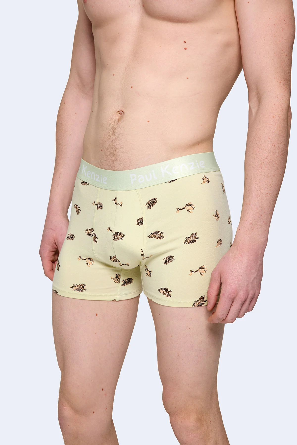 Paul Kenzie x Doğa Derneği - Desenli Erkek Boxer - Toros Kurbağası - Image 5