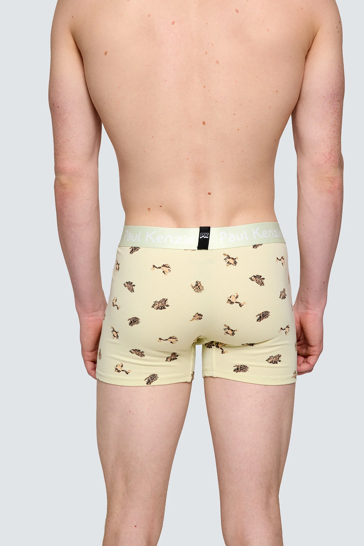 Paul Kenzie x Doğa Derneği - Desenli Erkek Boxer - Toros Kurbağası - Image 6