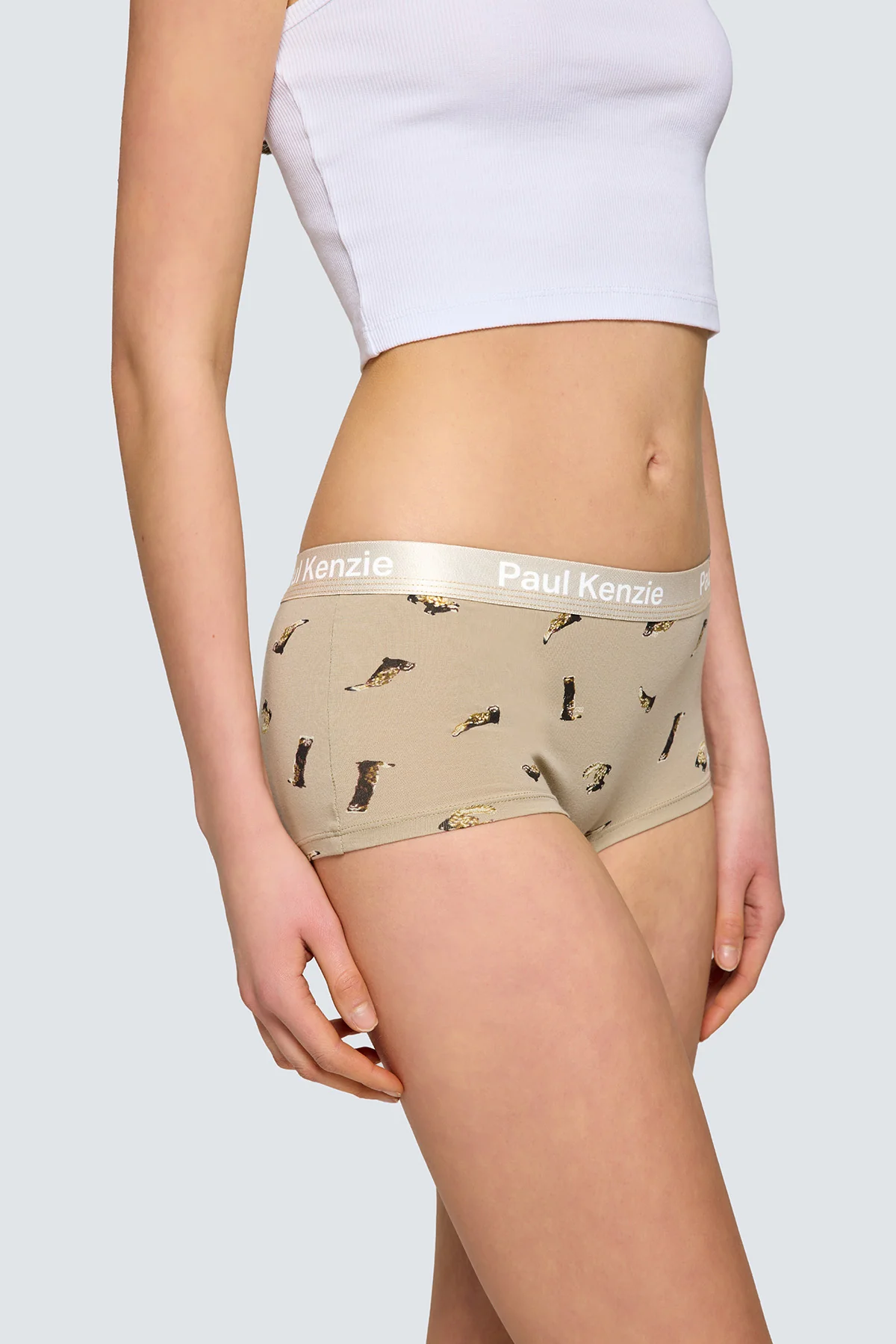 Paul Kenzie x Doğa Derneği - Desenli Kadın Boyshort Külot - Alaca Sansar - Image 6