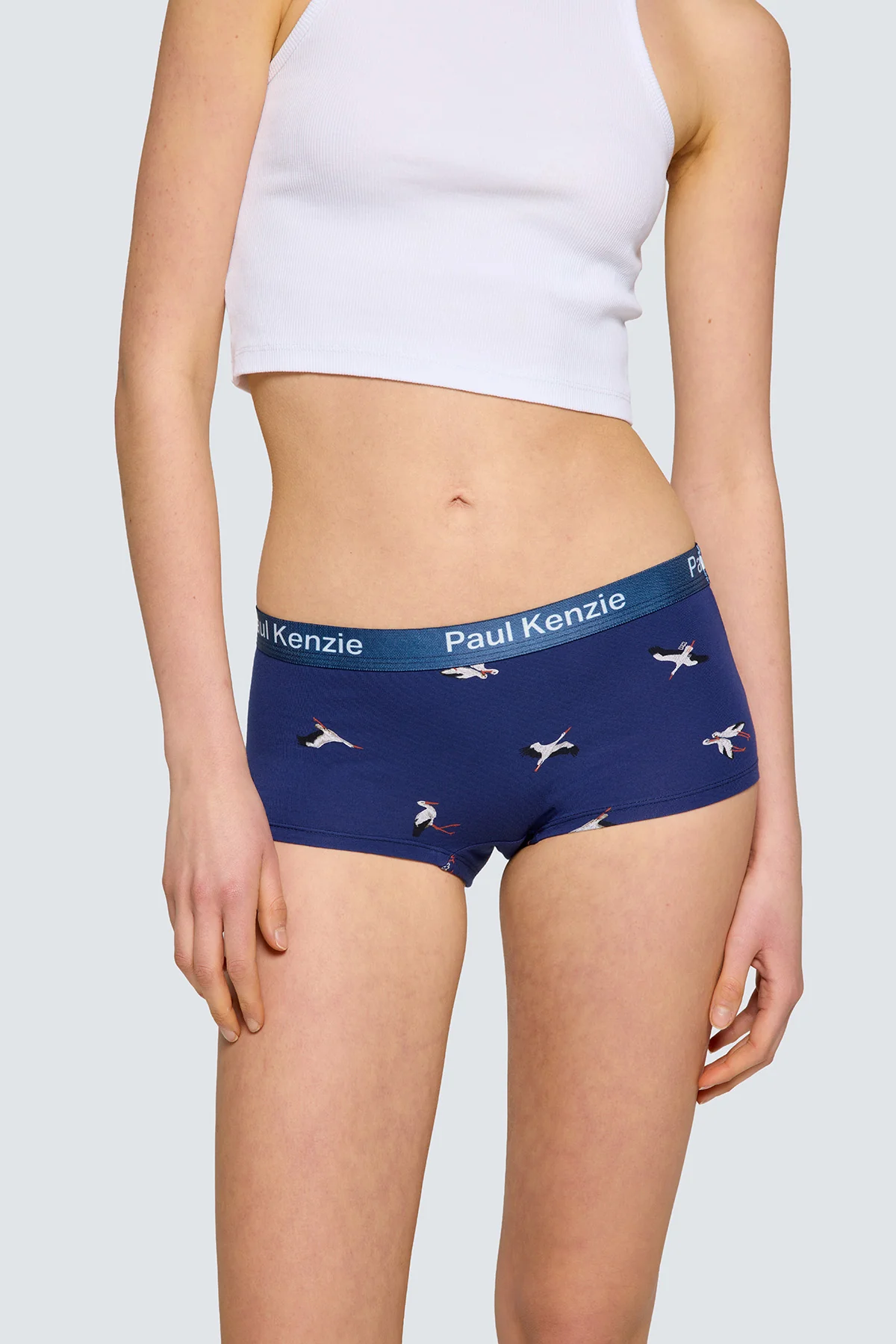 Paul Kenzie x Doğa Derneği - Desenli Kadın Boyshort Külot - Leylek - Image 5