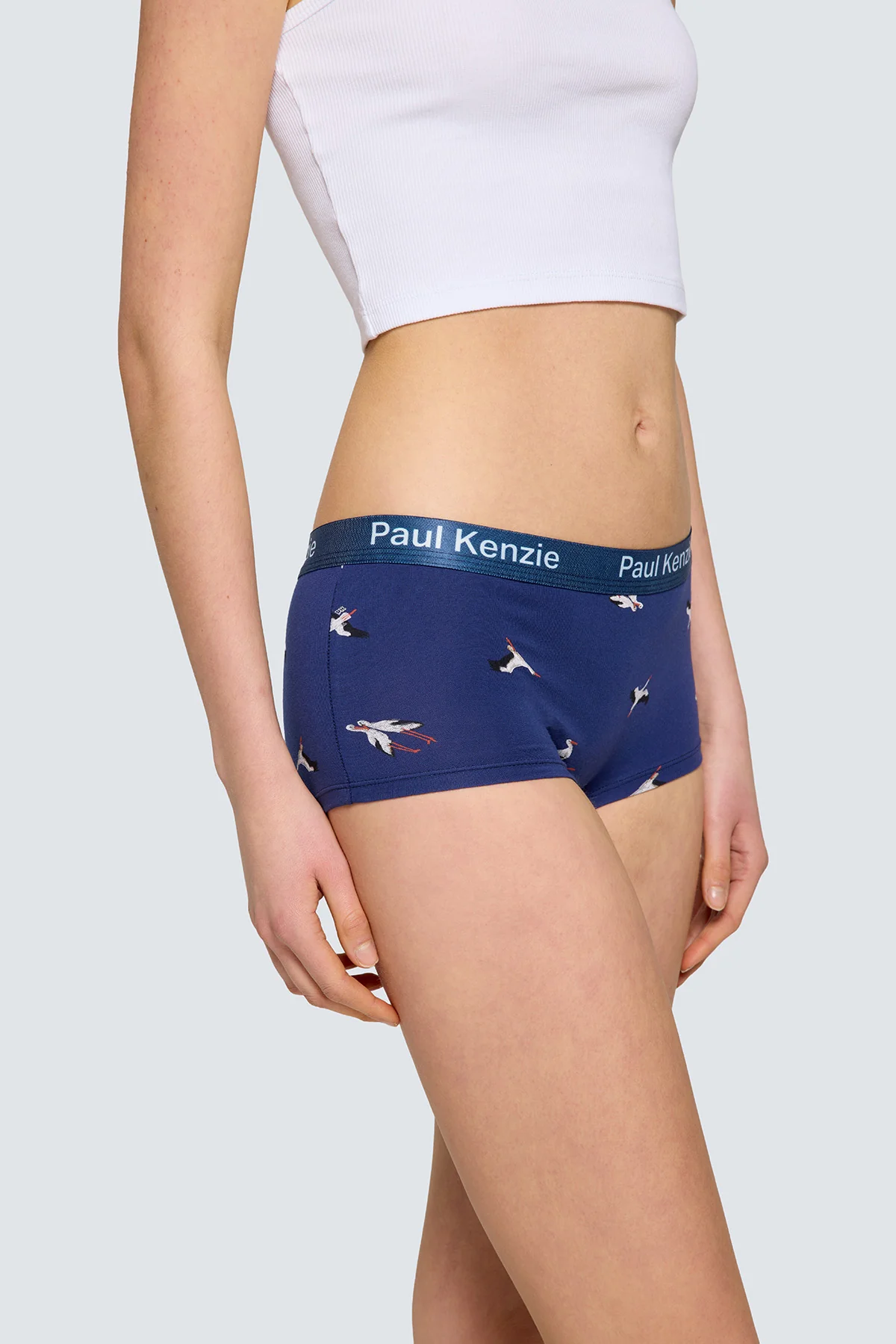 Paul Kenzie x Doğa Derneği - Desenli Kadın Boyshort Külot - Leylek - Image 6