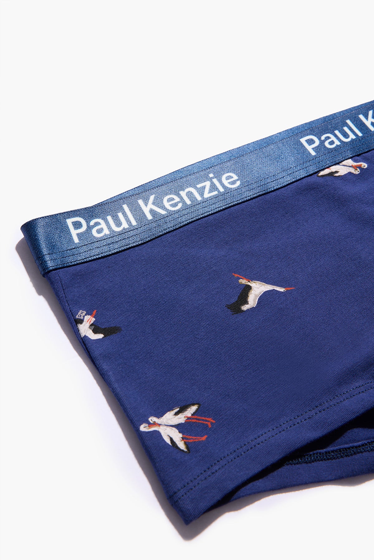 Paul Kenzie x Doğa Derneği - Desenli Kadın Boyshort Külot - Leylek - Image 9
