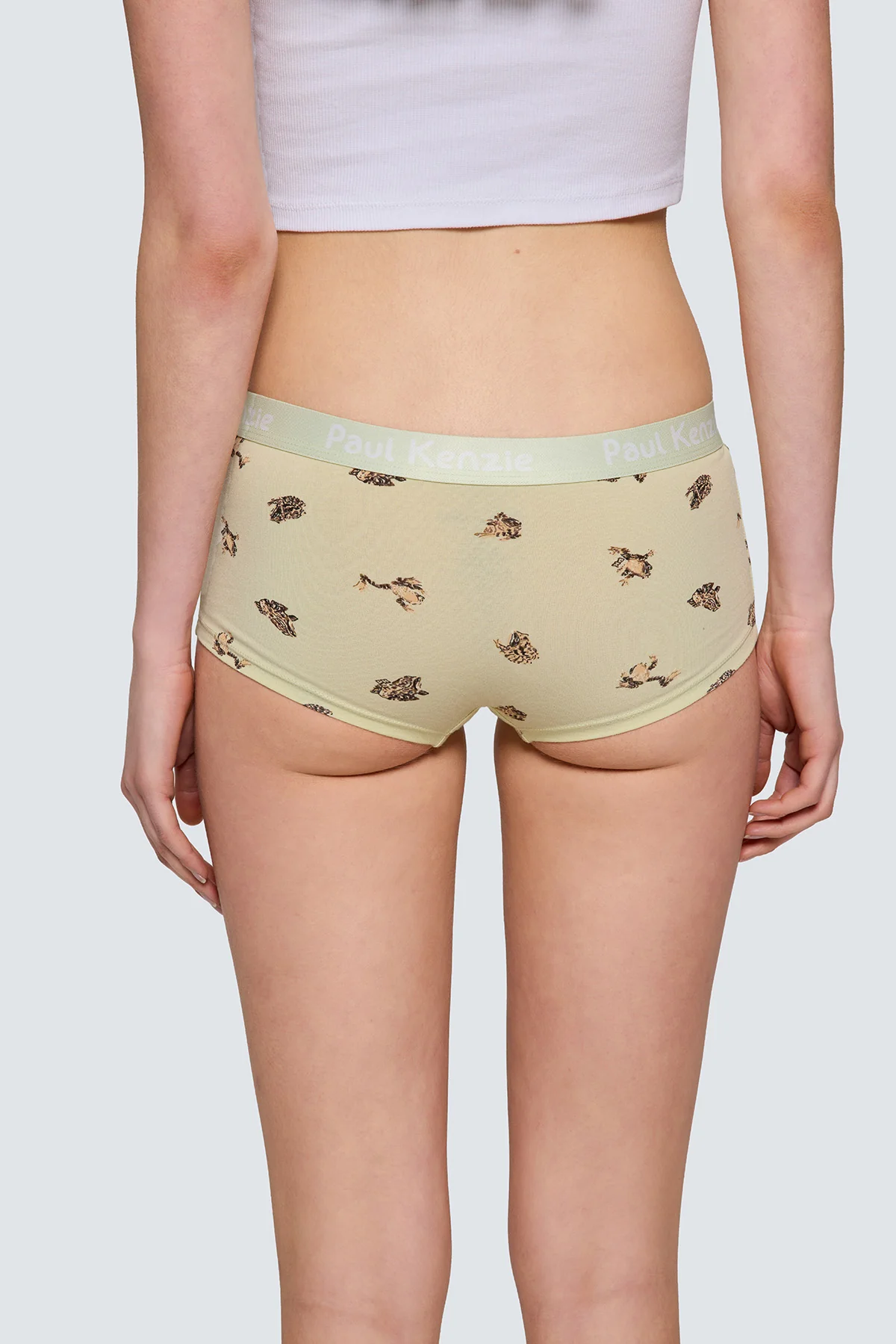 Paul Kenzie x Doğa Derneği - Desenli Kadın Boyshort Külot - Toros Kurbağası - Image 8