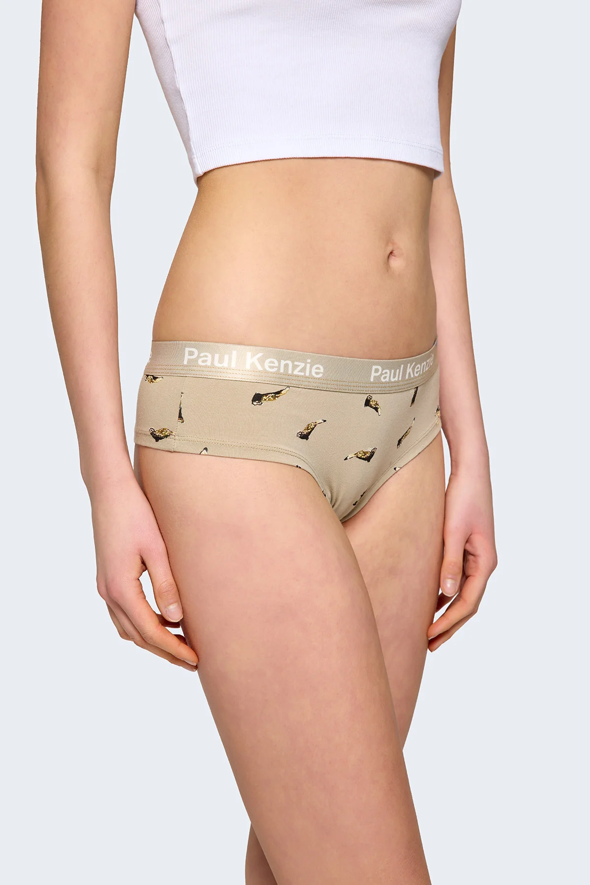 Paul Kenzie x Doğa Derneği - Desenli Kadın Cheeky Külot - Alaca Sansar - Image 6