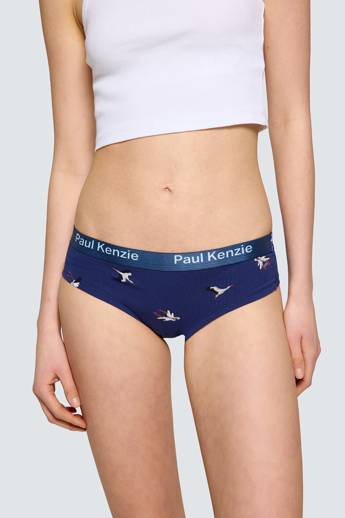 Paul Kenzie x Doğa Derneği - Desenli Kadın Cheeky Külot - Leylek - Image 5