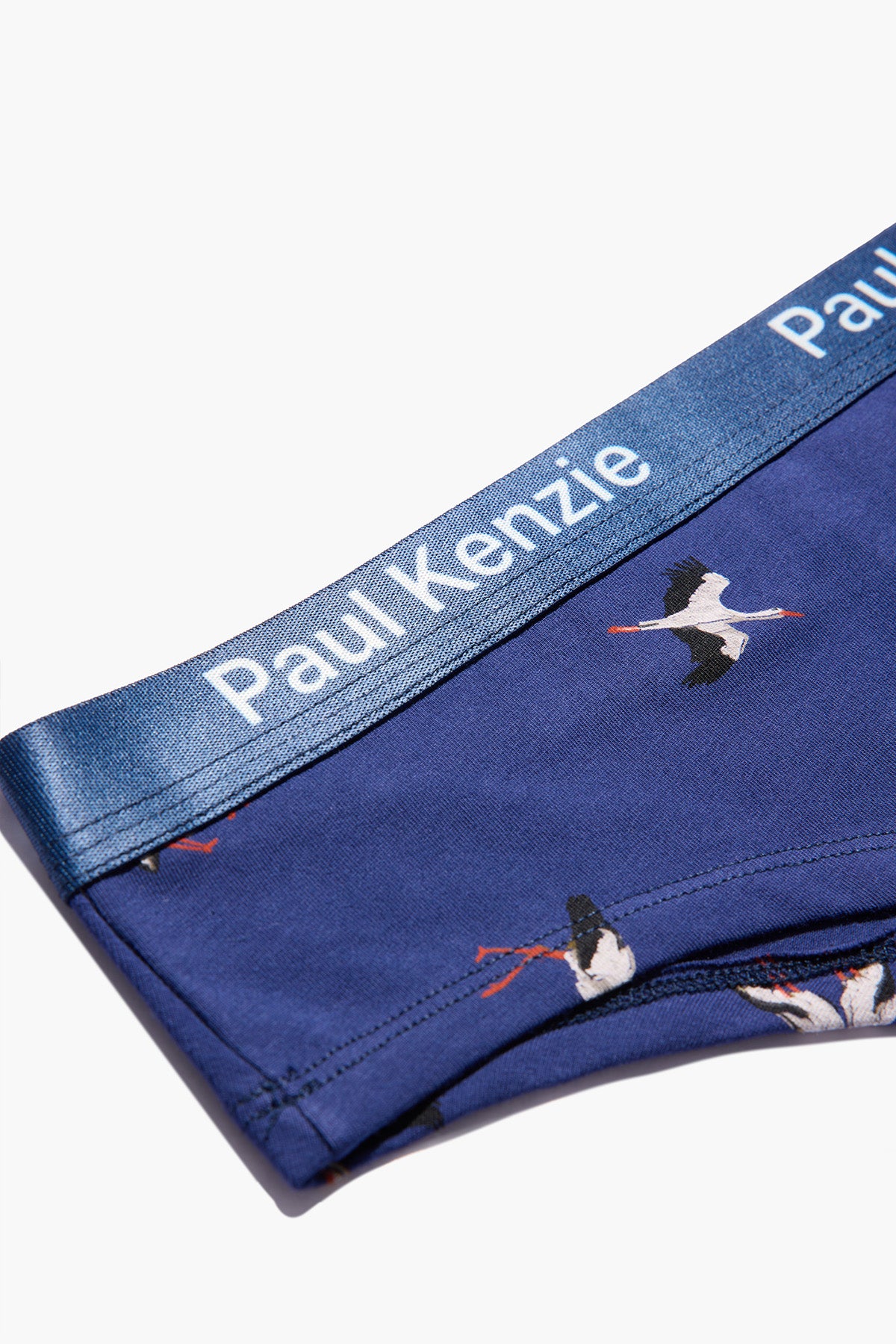 Paul Kenzie x Doğa Derneği - Desenli Kadın Cheeky Külot - Leylek - Image 9