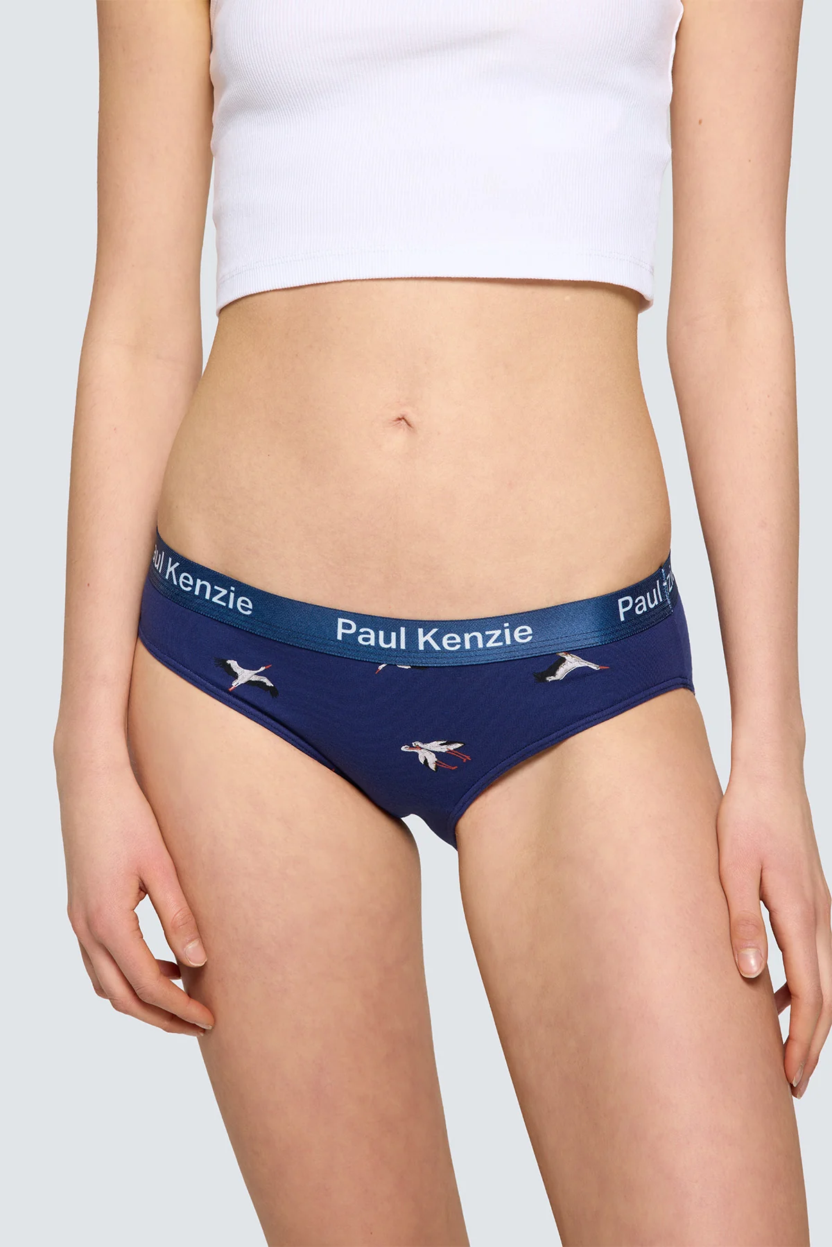 Paul Kenzie x Doğa Derneği - Desenli Kadın Slip Külot - Leylek - Image 5