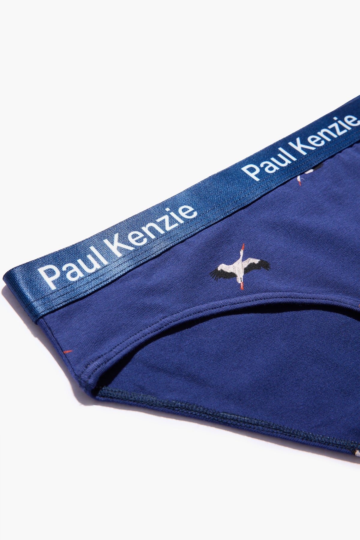 Paul Kenzie x Doğa Derneği - Desenli Kadın Slip Külot - Leylek - Image 9