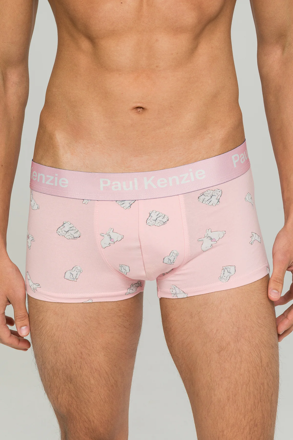 Paul Kenzie x Durex - Desenli Erkek Trunk Boxer - White Rabbit - Image 5