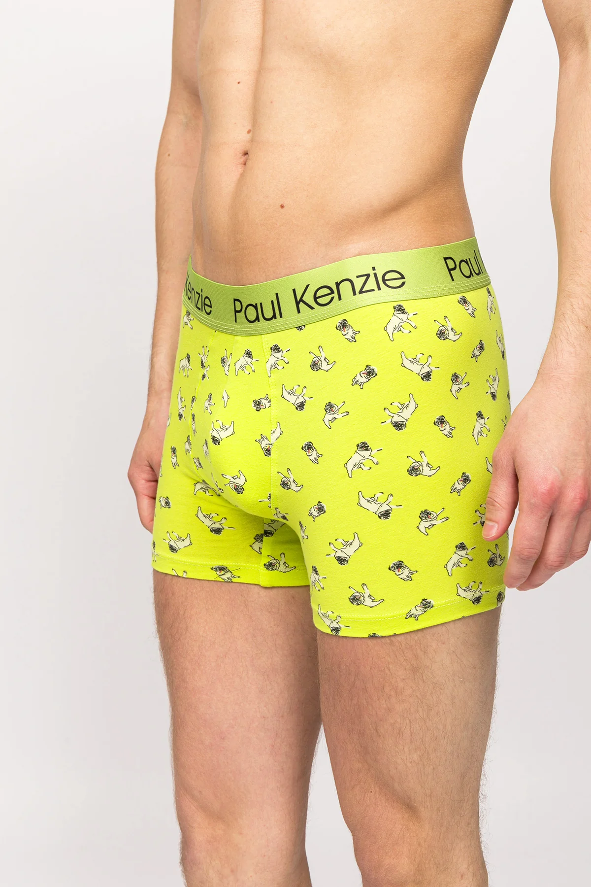 Paul Kenzie x Kurtaran Ev - Desenli Erkek Boxer - Dani - Image 5