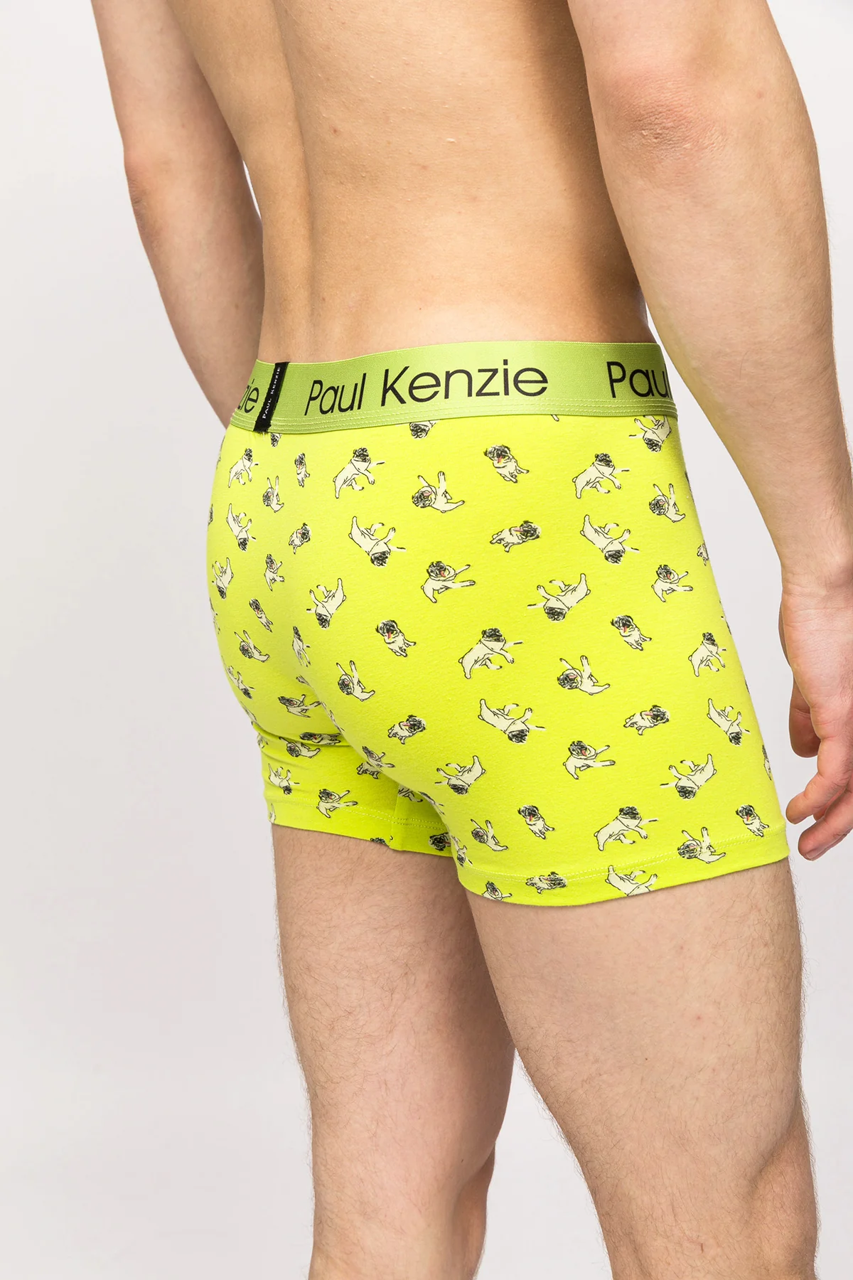 Paul Kenzie x Kurtaran Ev - Desenli Erkek Boxer - Dani - Image 6