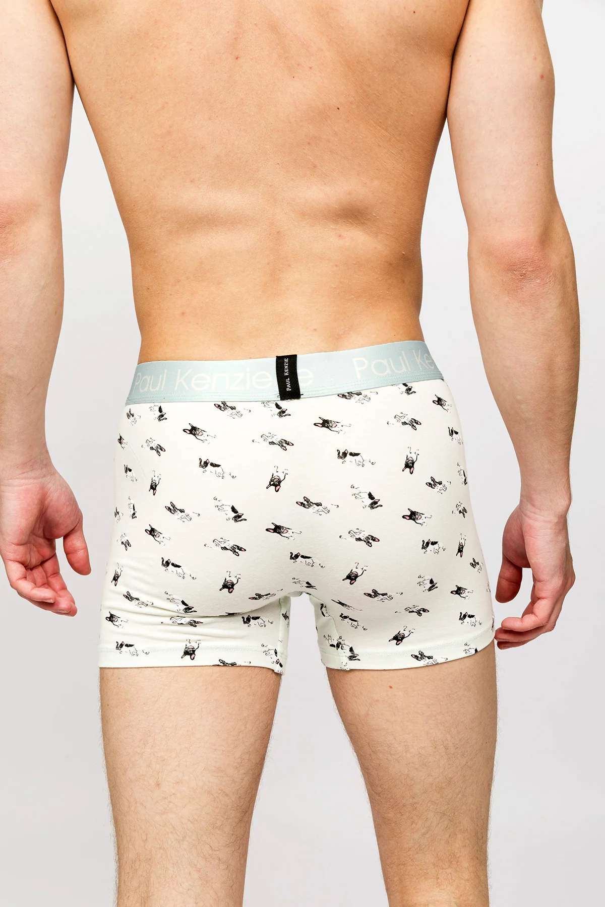 Paul Kenzie x Kurtaran Ev - Desenli Erkek Boxer - Frenchie - Image 6