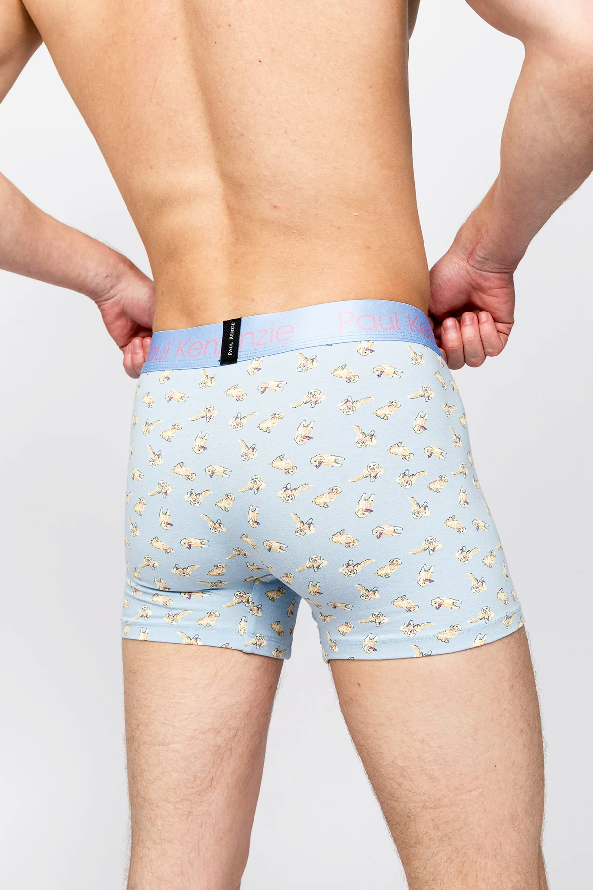 Paul Kenzie x Kurtaran Ev - Desenli Erkek Boxer - Poppy - Image 6