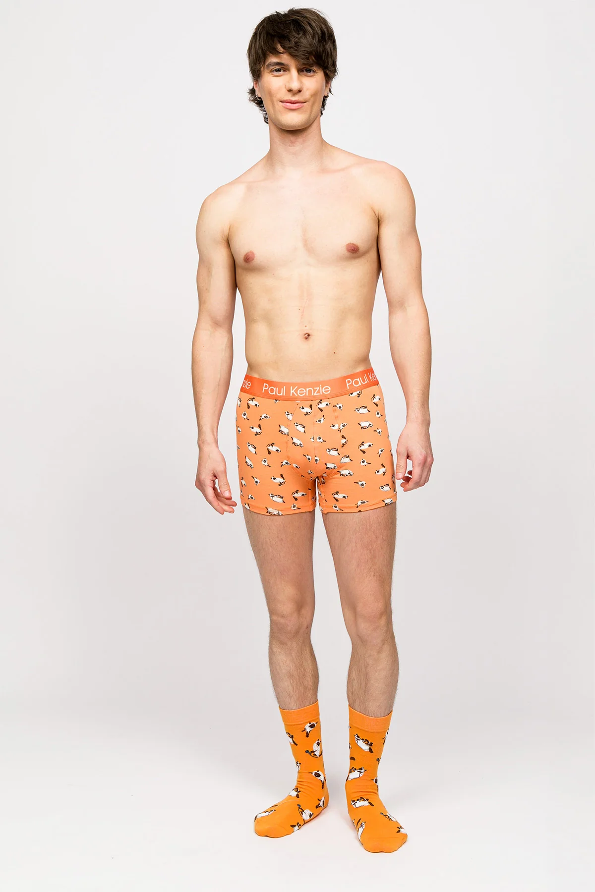 Paul Kenzie x Kurtaran Ev - Desenli Erkek Boxer - Siyam - Image 3