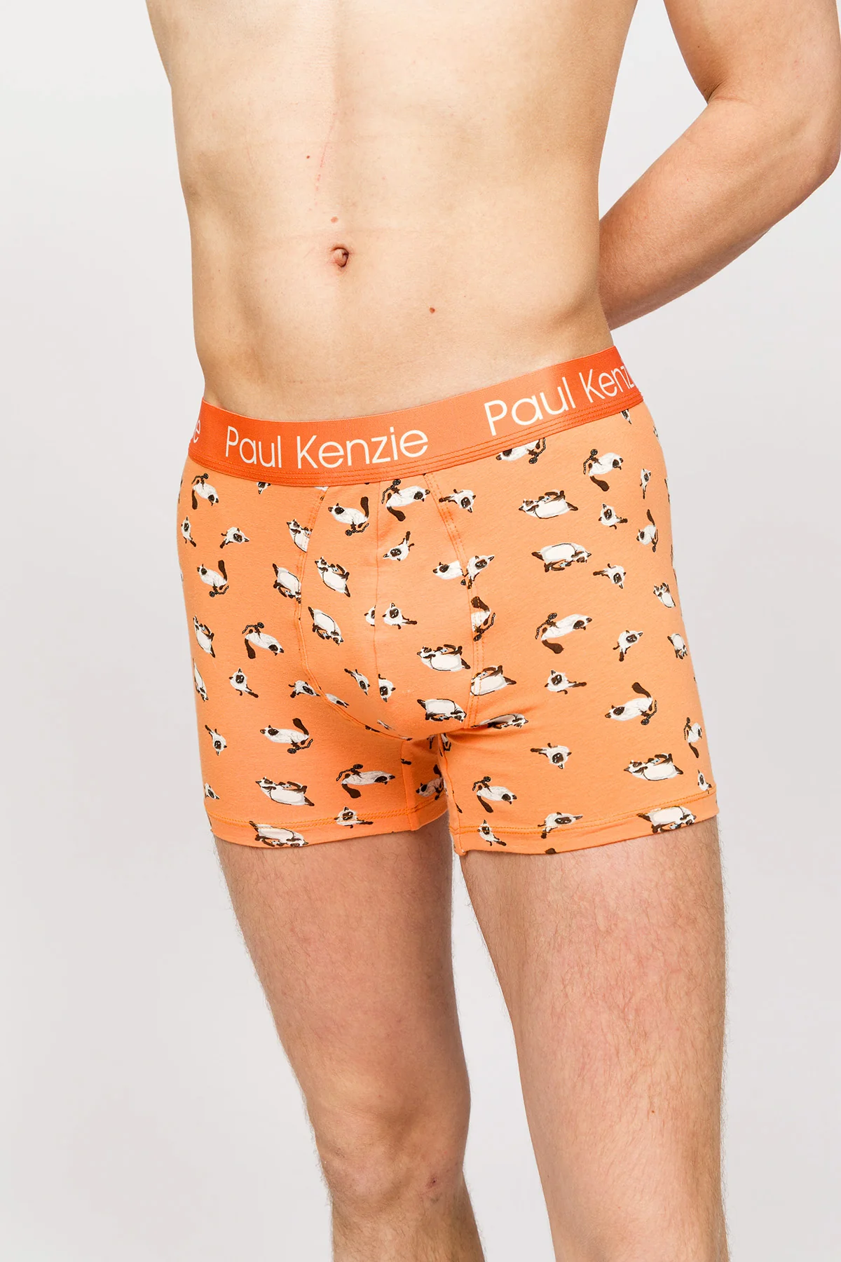 Paul Kenzie x Kurtaran Ev - Desenli Erkek Boxer - Siyam - Image 5