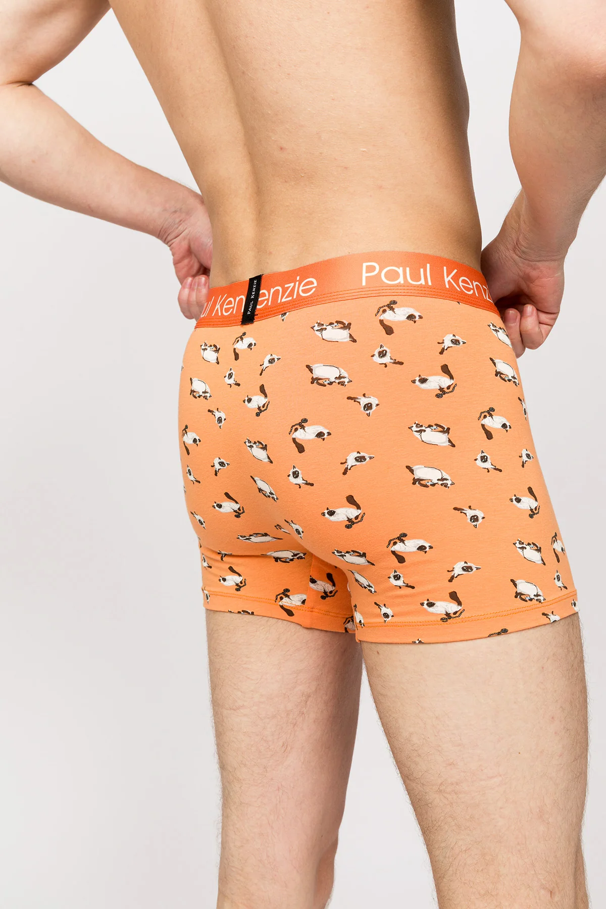 Paul Kenzie x Kurtaran Ev - Desenli Erkek Boxer - Siyam - Image 6