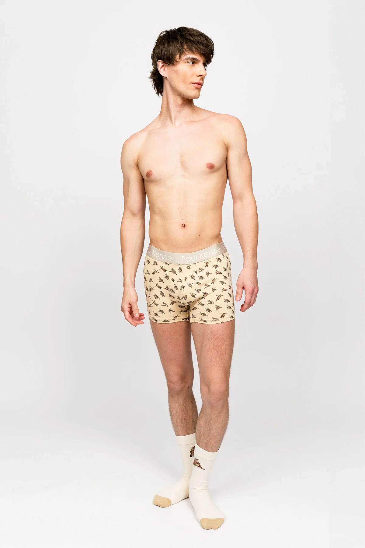 Paul Kenzie x Kurtaran Ev - Desenli Erkek Boxer - Tombili - Image 3