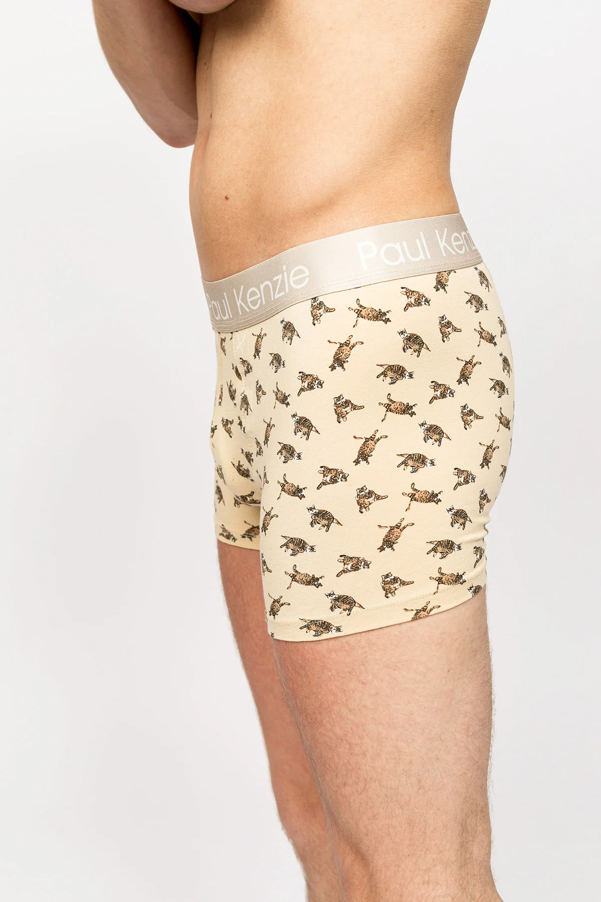 Paul Kenzie x Kurtaran Ev - Desenli Erkek Boxer - Tombili - Image 5