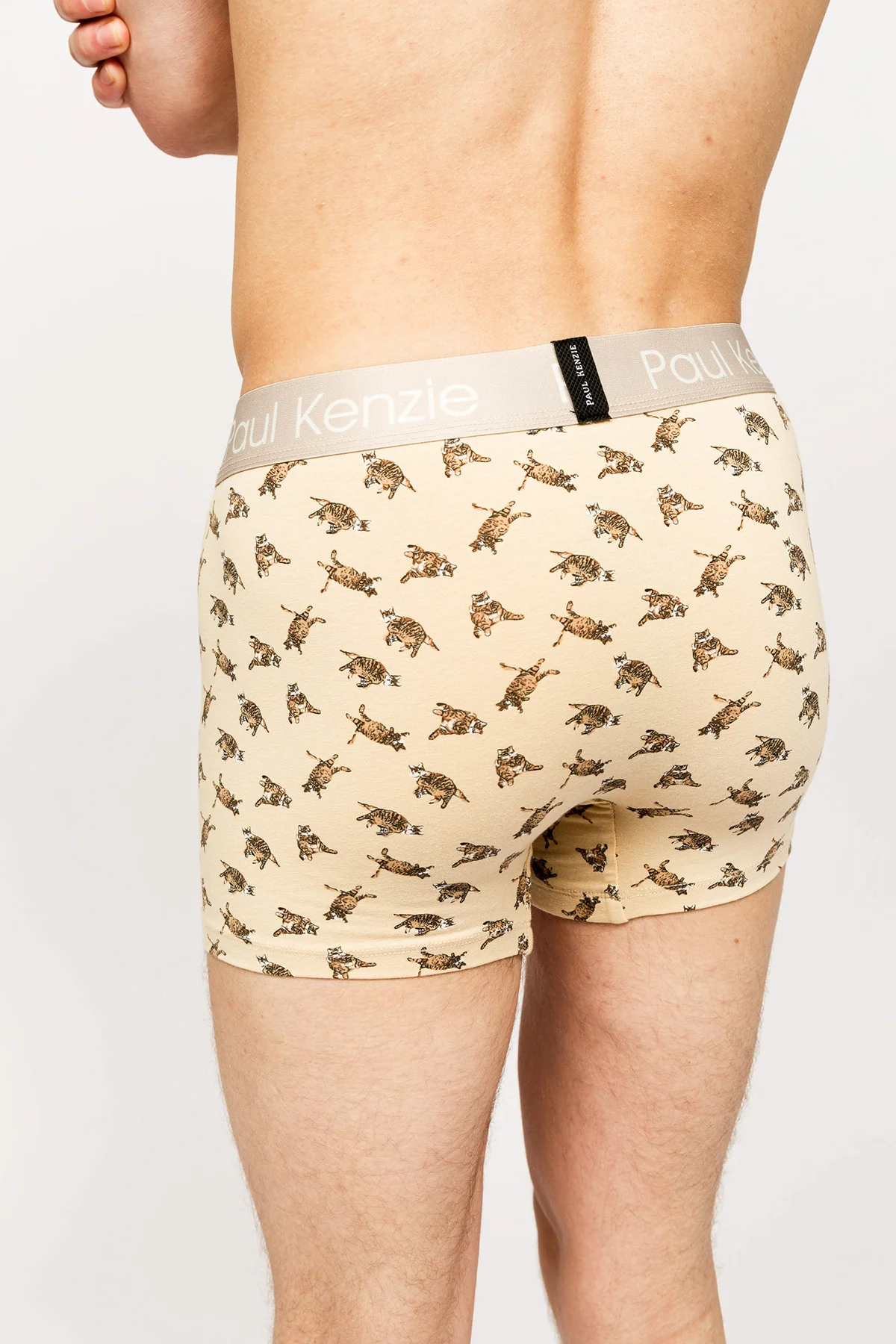 Paul Kenzie x Kurtaran Ev - Desenli Erkek Boxer - Tombili - Image 6