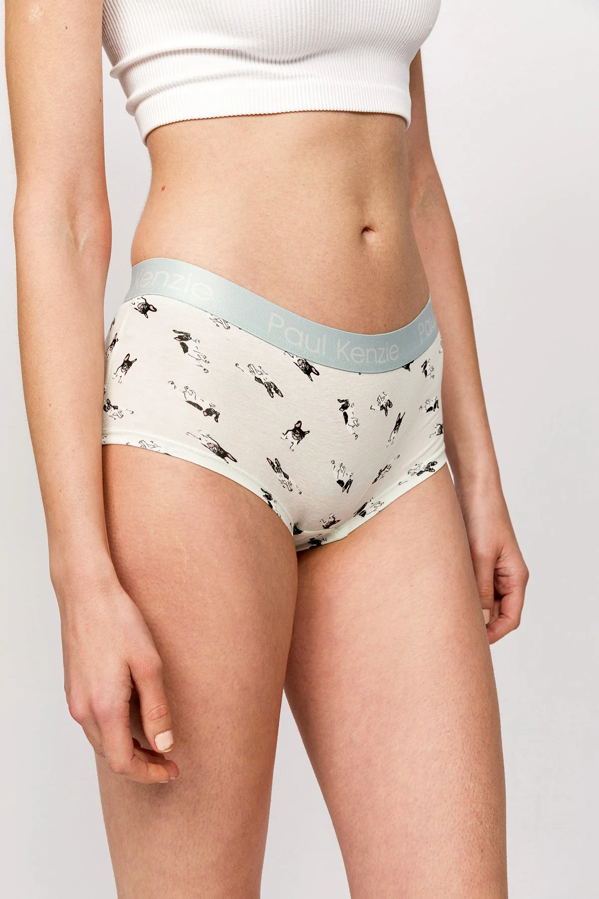 Paul Kenzie x Kurtaran Ev - Desenli Kadın Boyshort Külot - Frenchie - Image 5