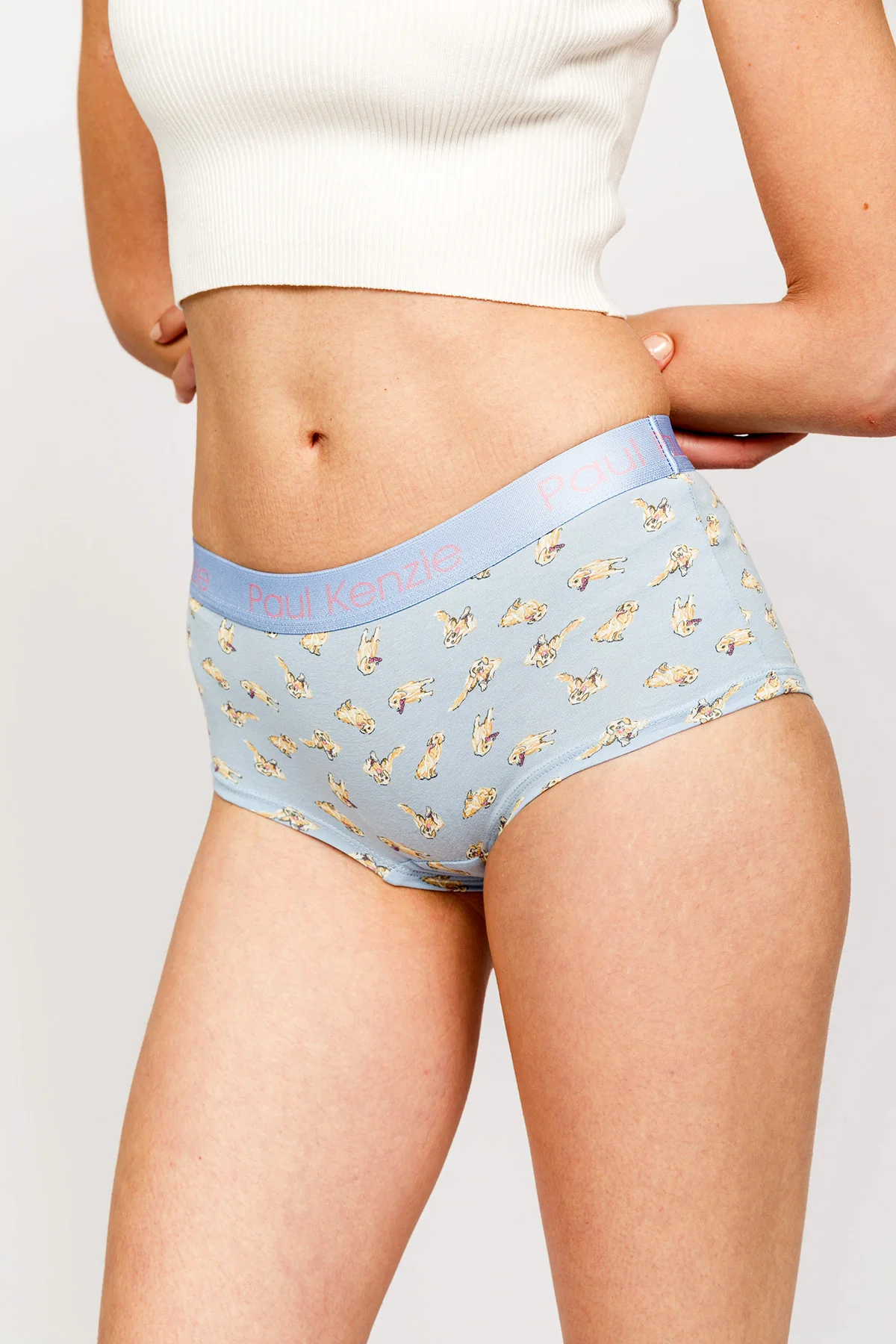 Paul Kenzie x Kurtaran Ev - Desenli Kadın Boyshort Külot - Poppy - Image 5