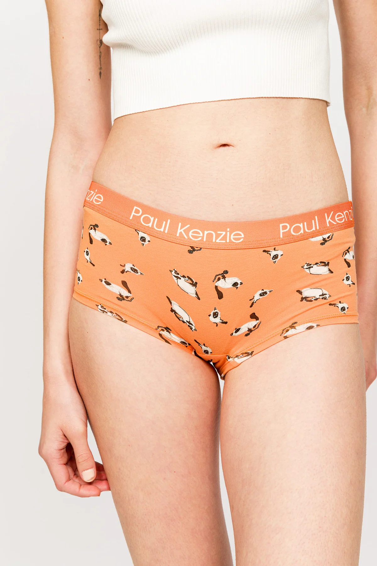 Paul Kenzie x Kurtaran Ev - Desenli Kadın Boyshort Külot - Siyam - Image 5
