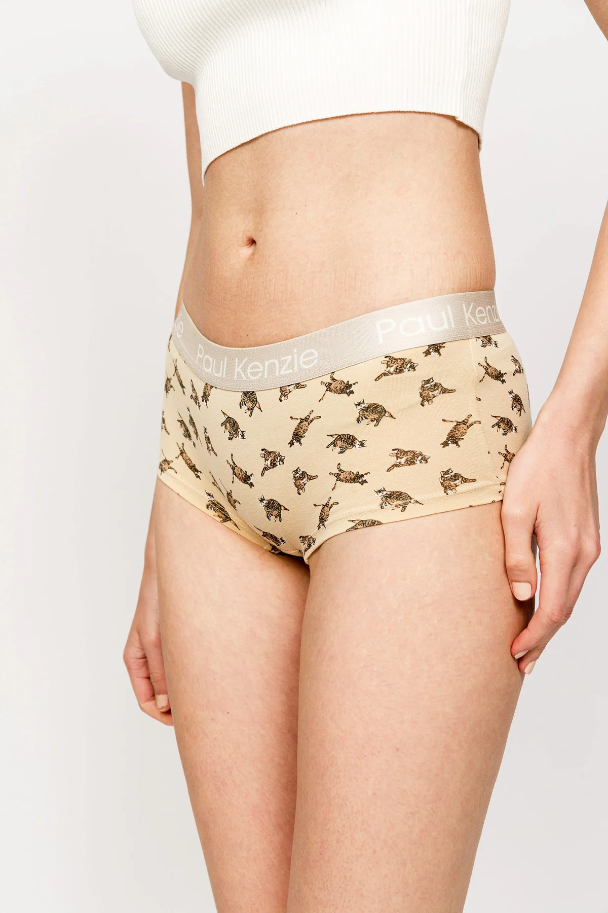 Paul Kenzie x Kurtaran Ev - Desenli Kadın Boyshort Külot - Tombili - Image 5
