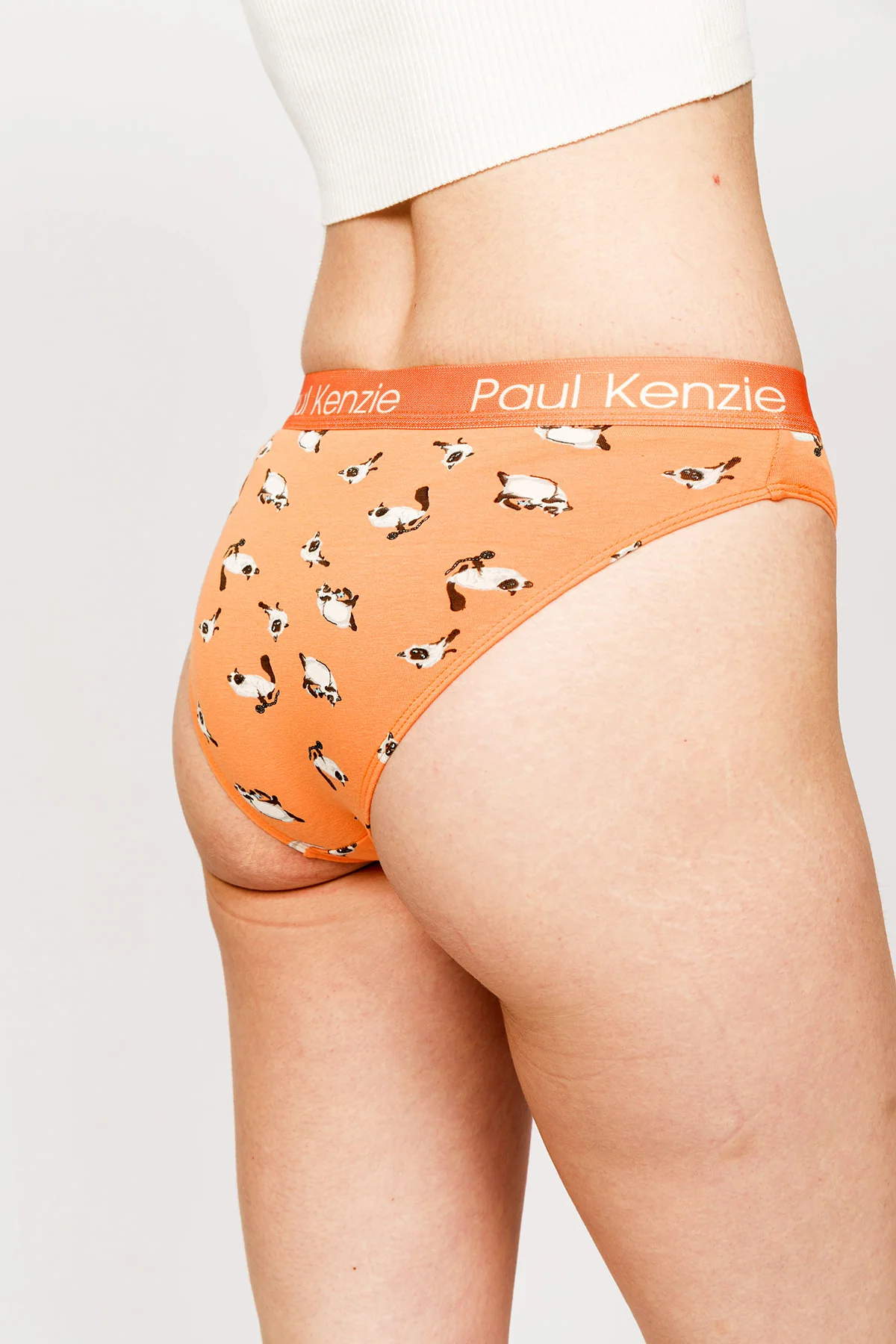 Paul Kenzie x Kurtaran Ev - Desenli Kadın Slip Külot - Siyam - Image 6