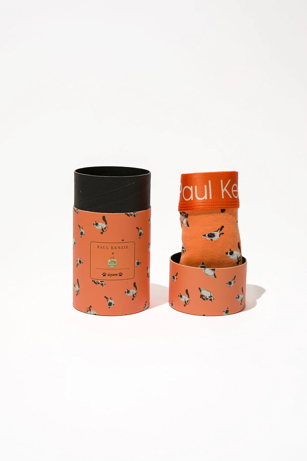 Paul Kenzie x Kurtaran Ev - Siyam Couple - Image 10