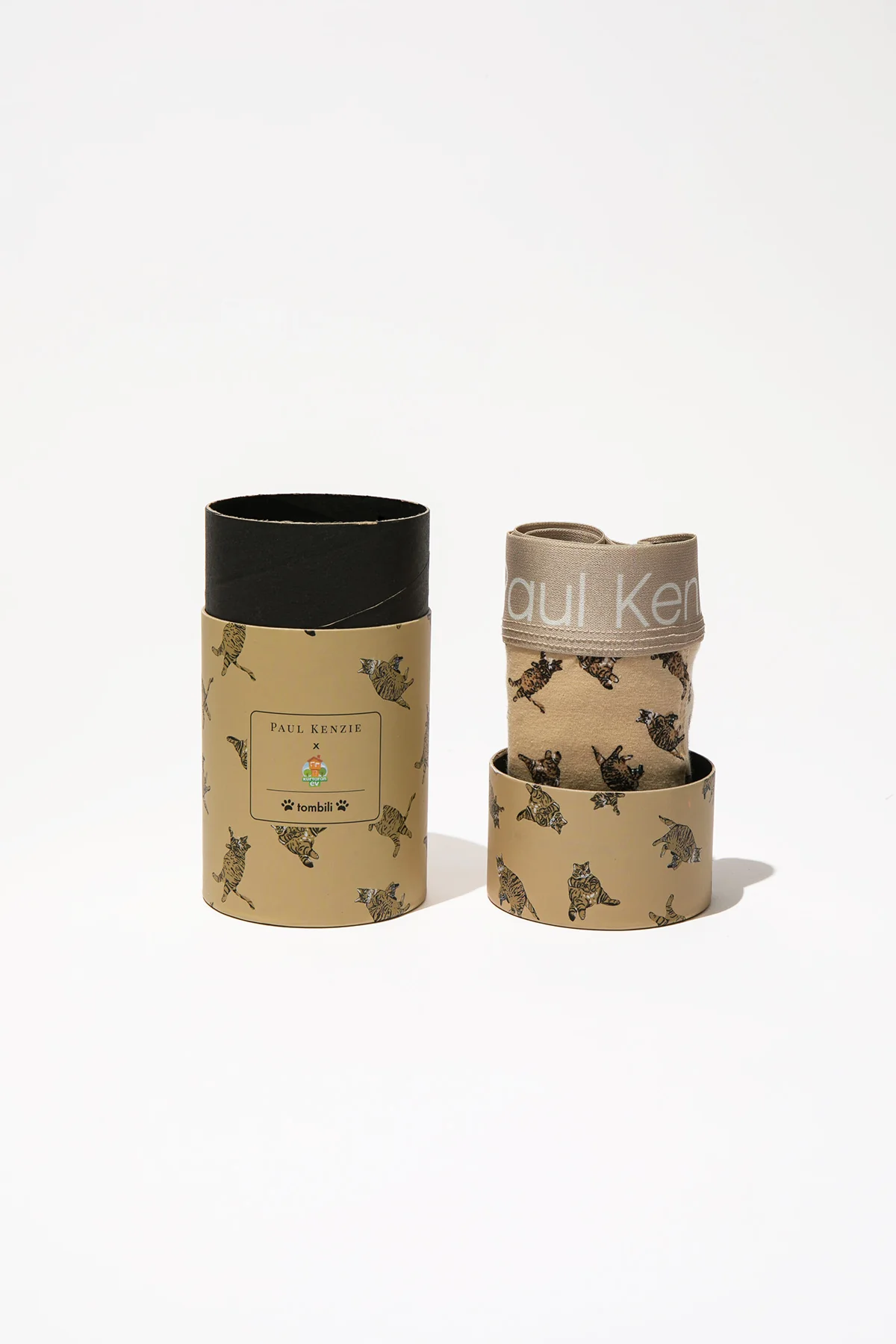 Paul Kenzie x Kurtaran Ev - Tombili Couple - Image 10