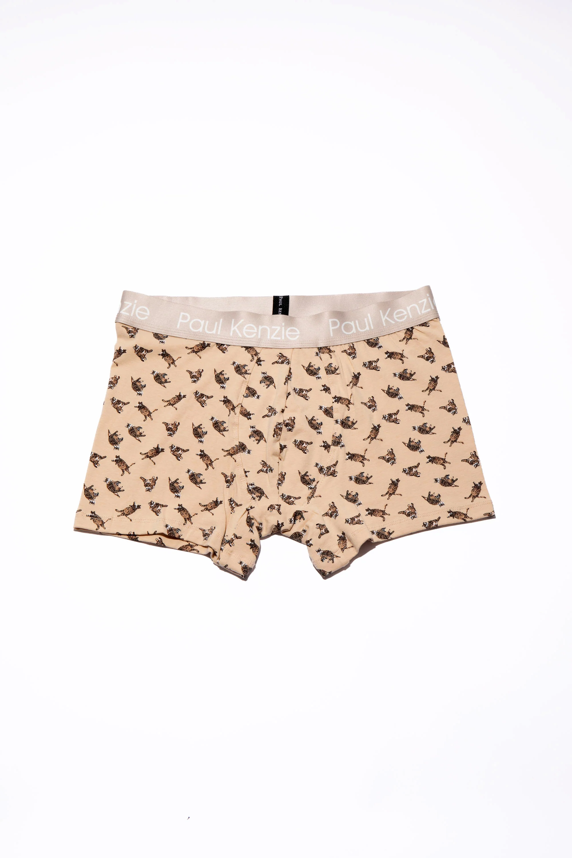 Paul Kenzie x Kurtaran Ev - Tombili Couple - Image 5