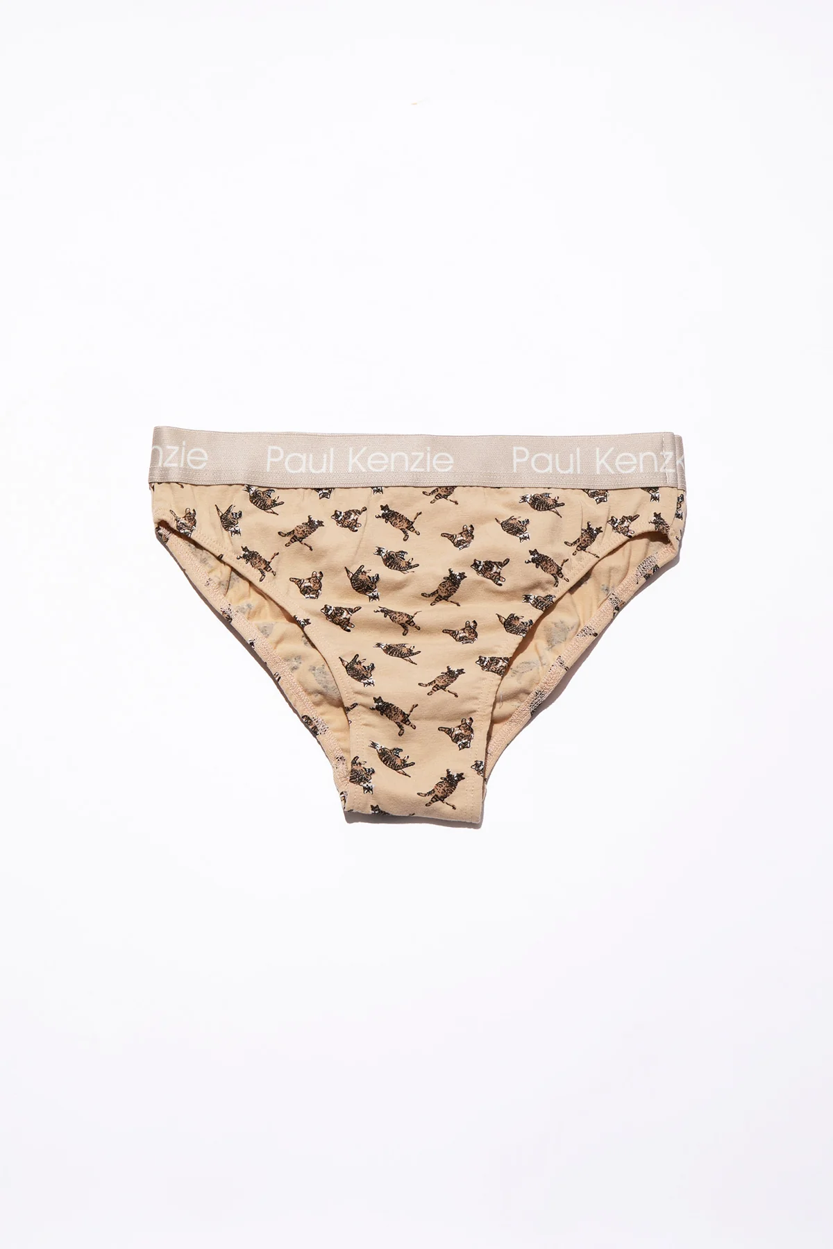Paul Kenzie x Kurtaran Ev - Tombili Couple - Image 6
